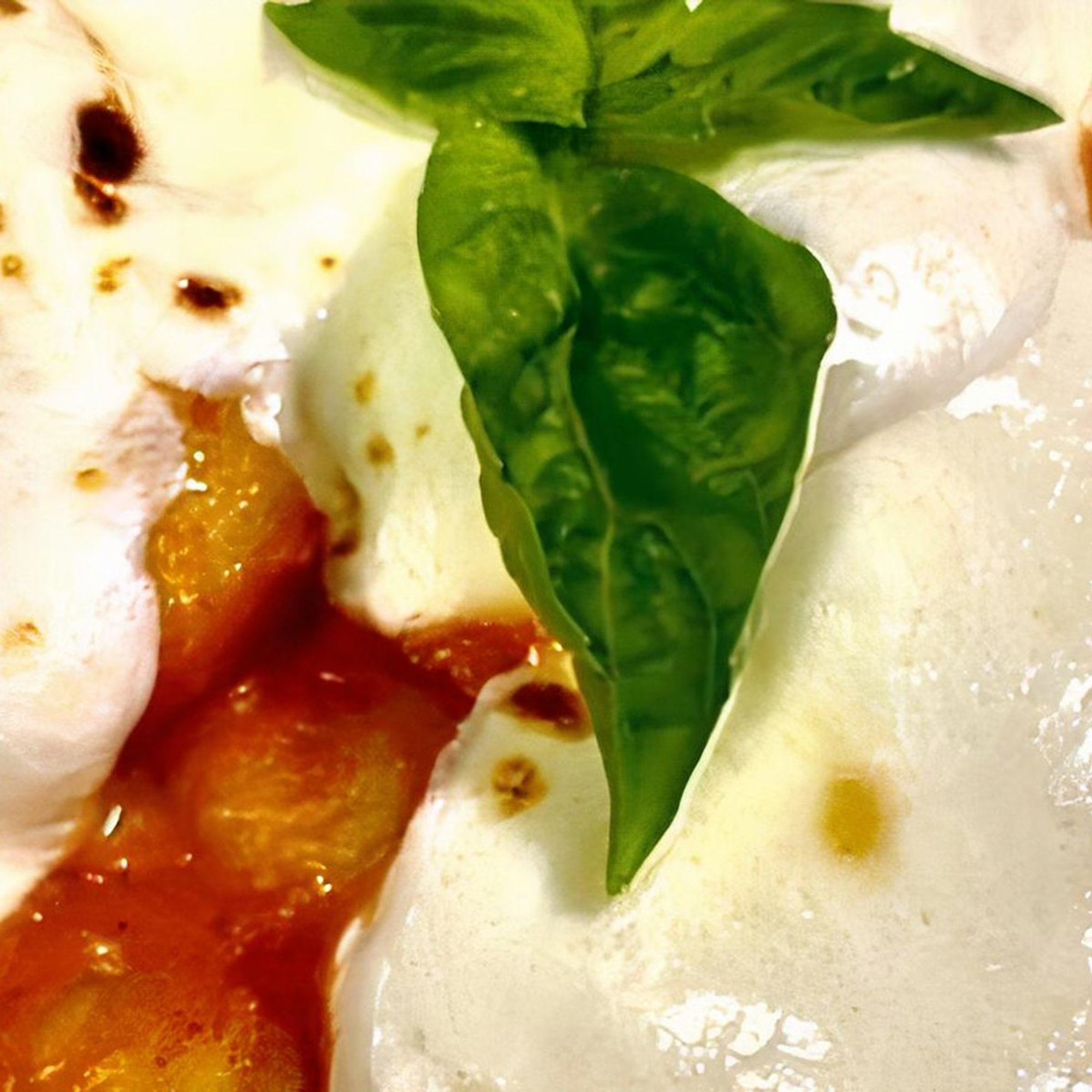 Gnocchi Capri