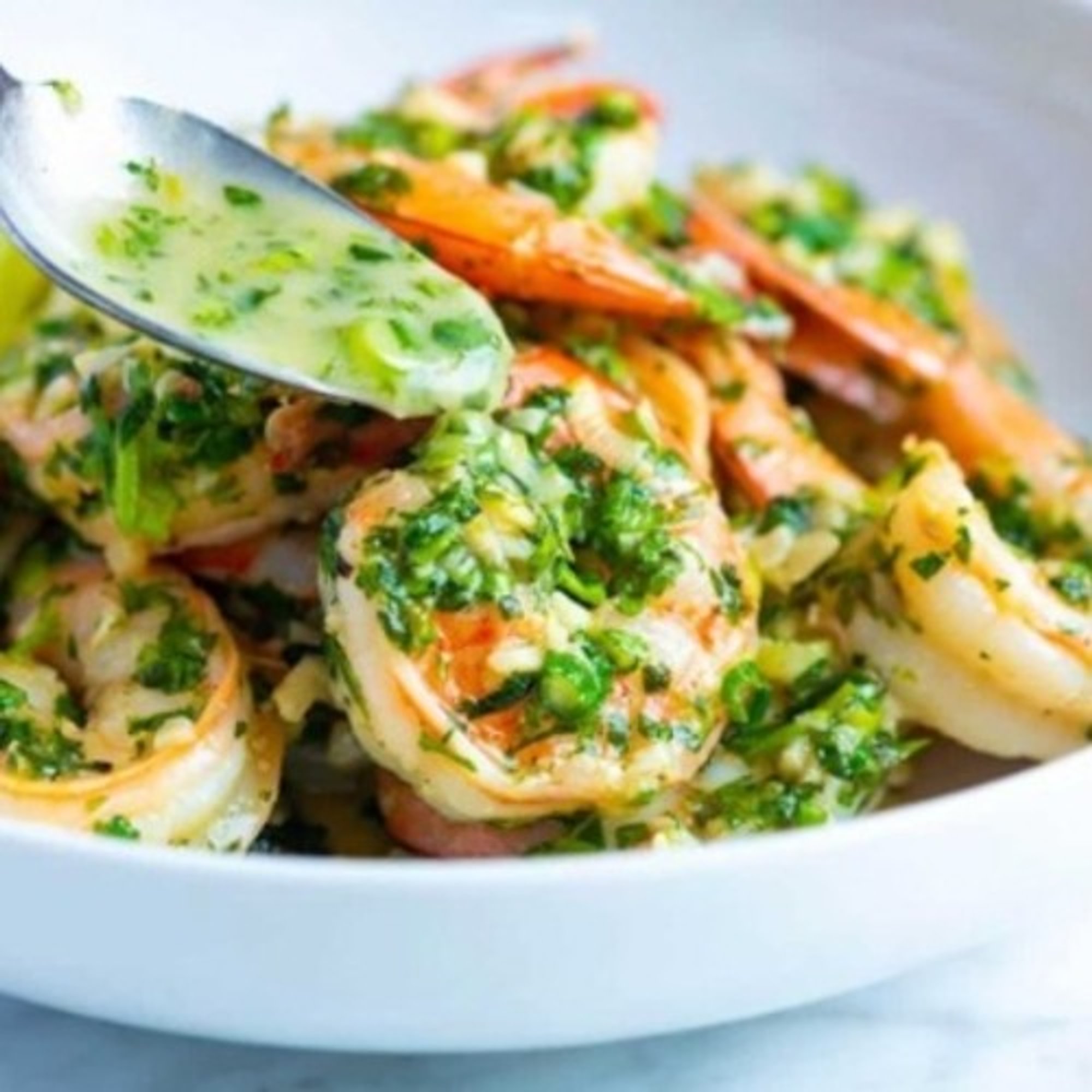 Shrimp Cilantro Entrée