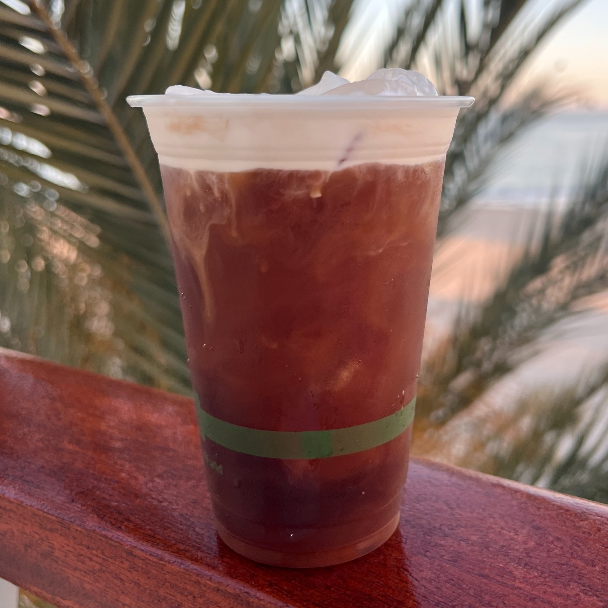 Iced Cold Brew Coffee