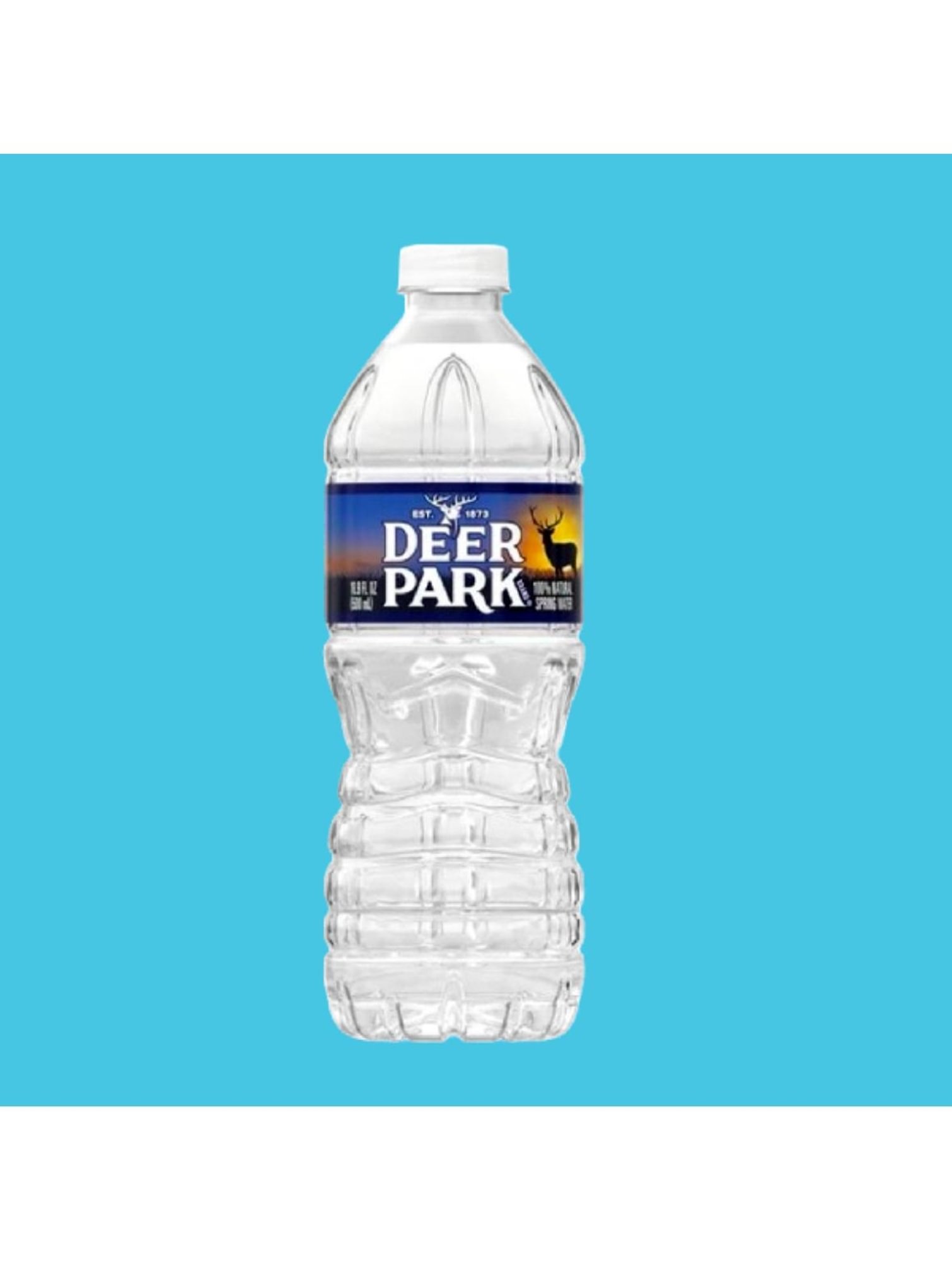 16.9 oz Bottled Water