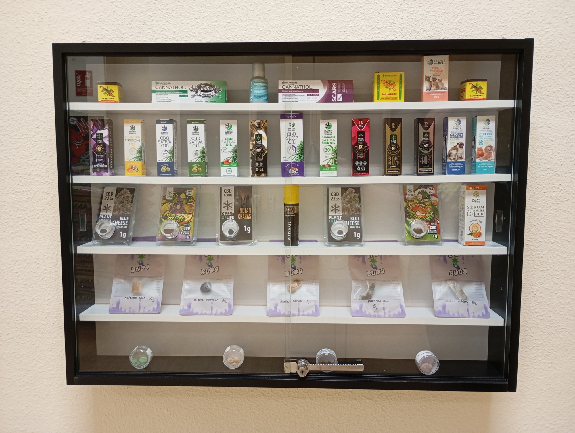 Galería en miniatura