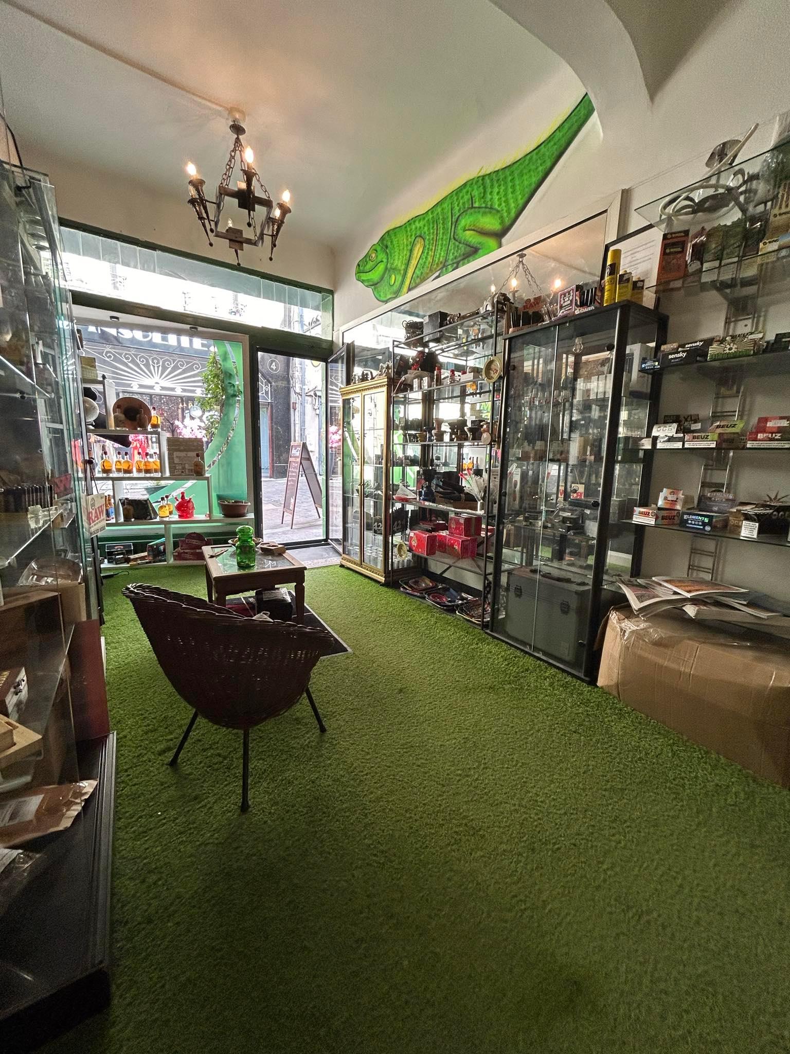 Miniature de la galerie