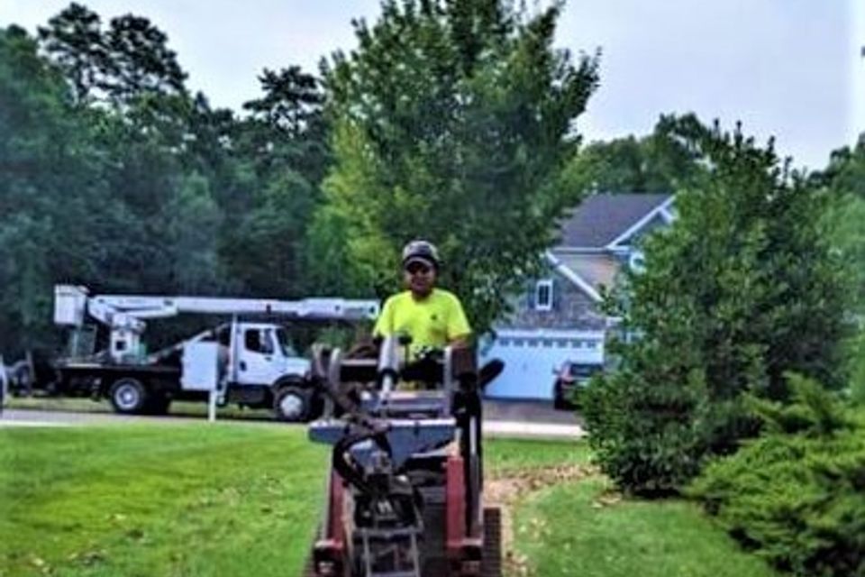 Tree & Land Masters LLC Image