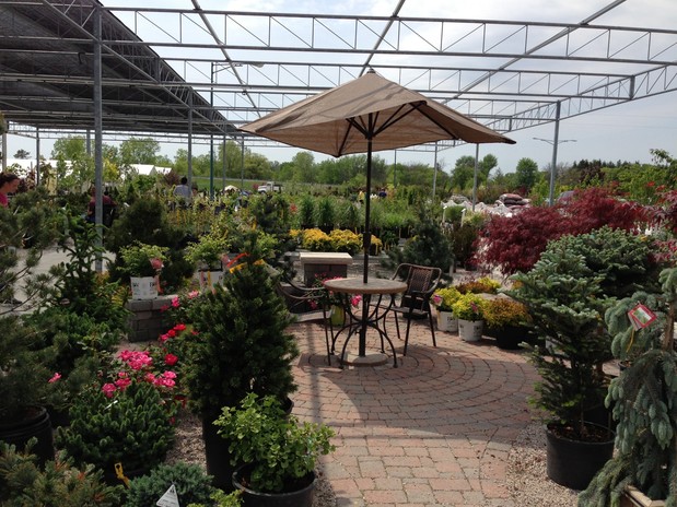 Images Abele Greenhouse & Garden Center