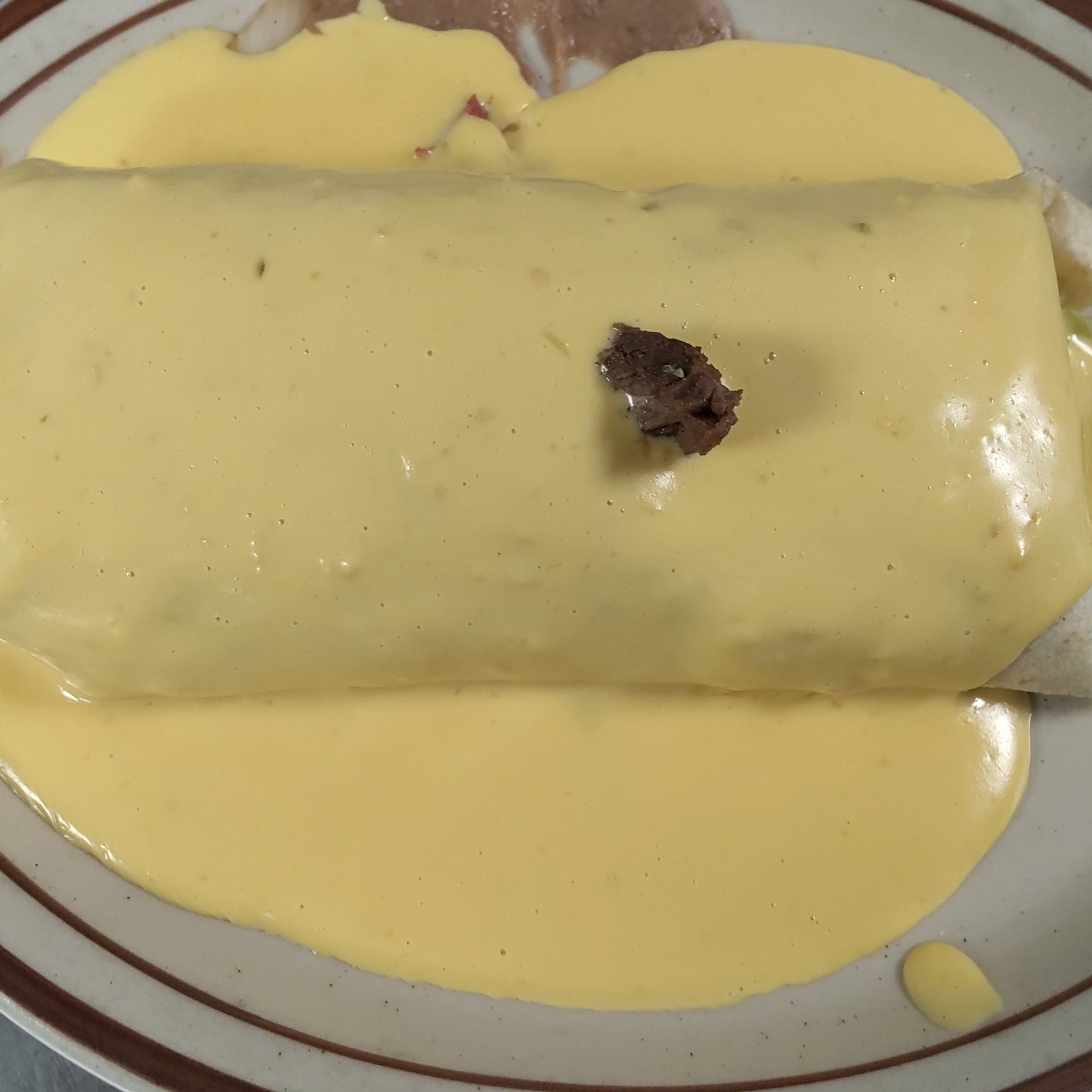 Wet Fajita Burrito Steak