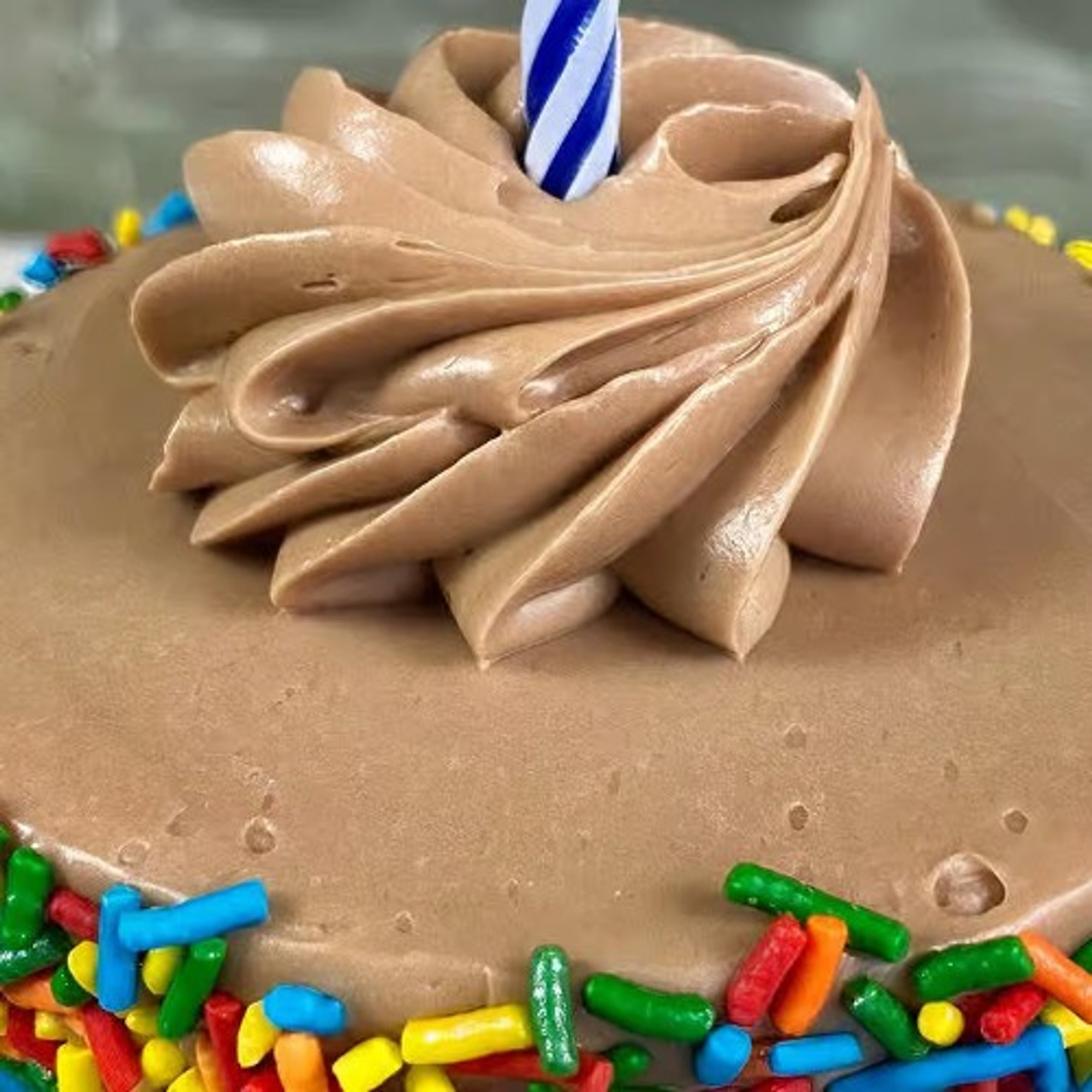 3" Chocolate Celebration Sprinkle Birthday Cake-Individual
