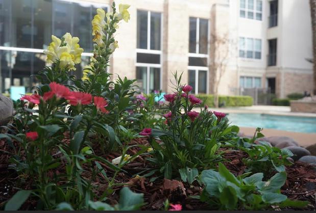 Images Sibrian Landscaping