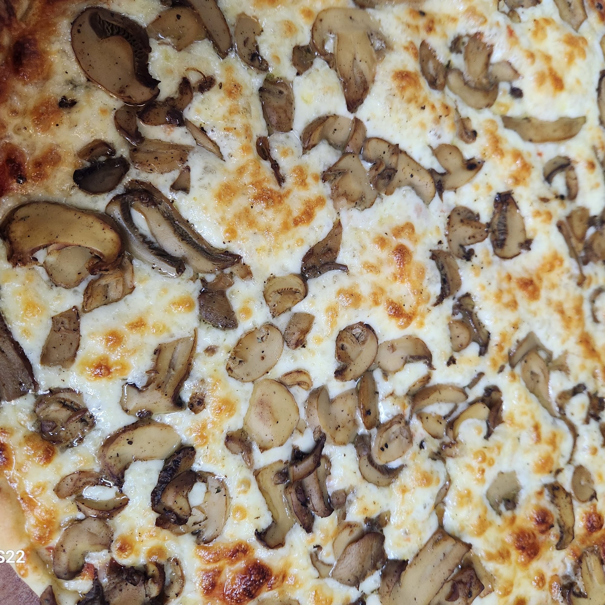 Mushrooms Pizza