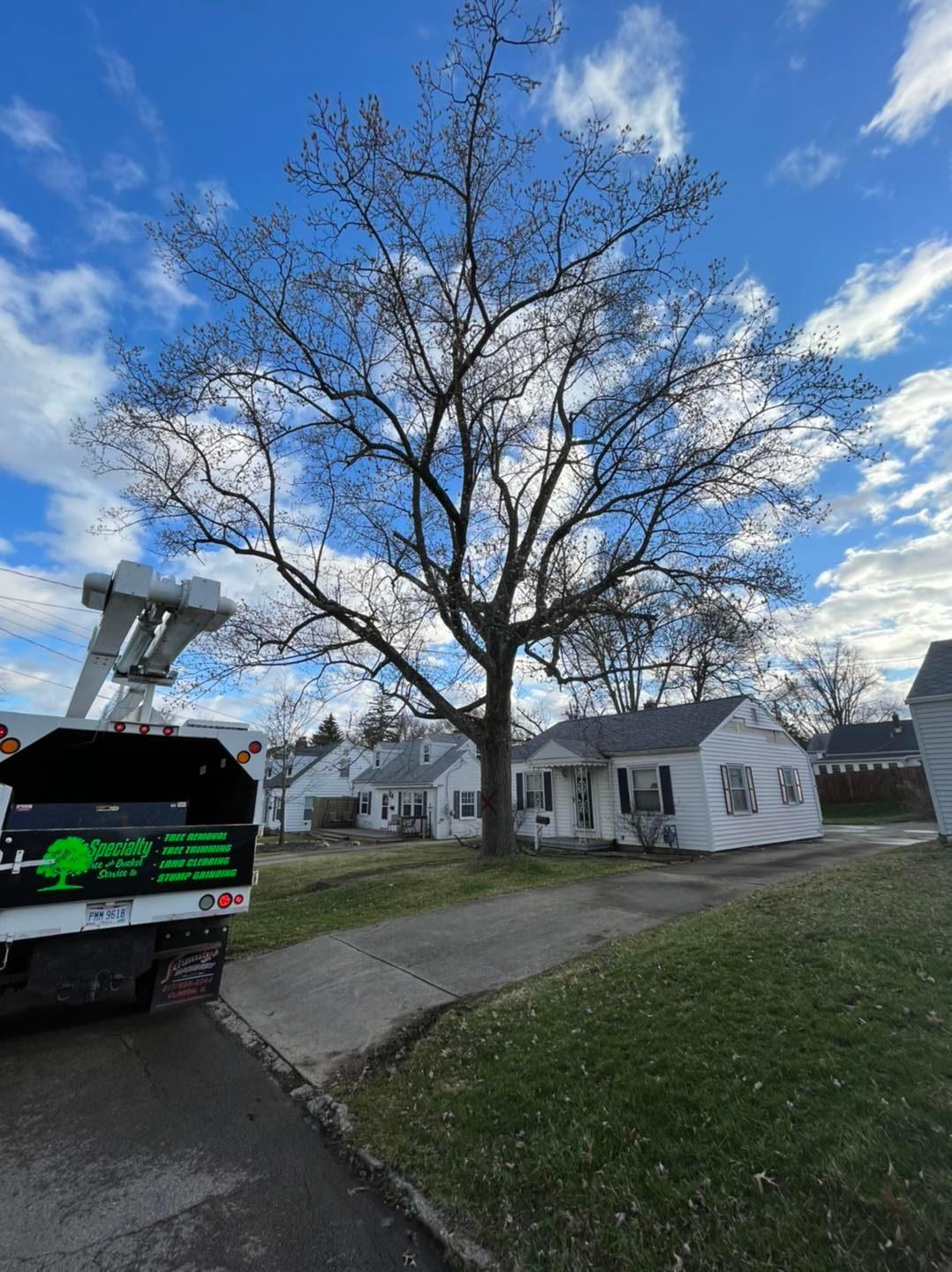 Specialty Tree & Bucket Service Image