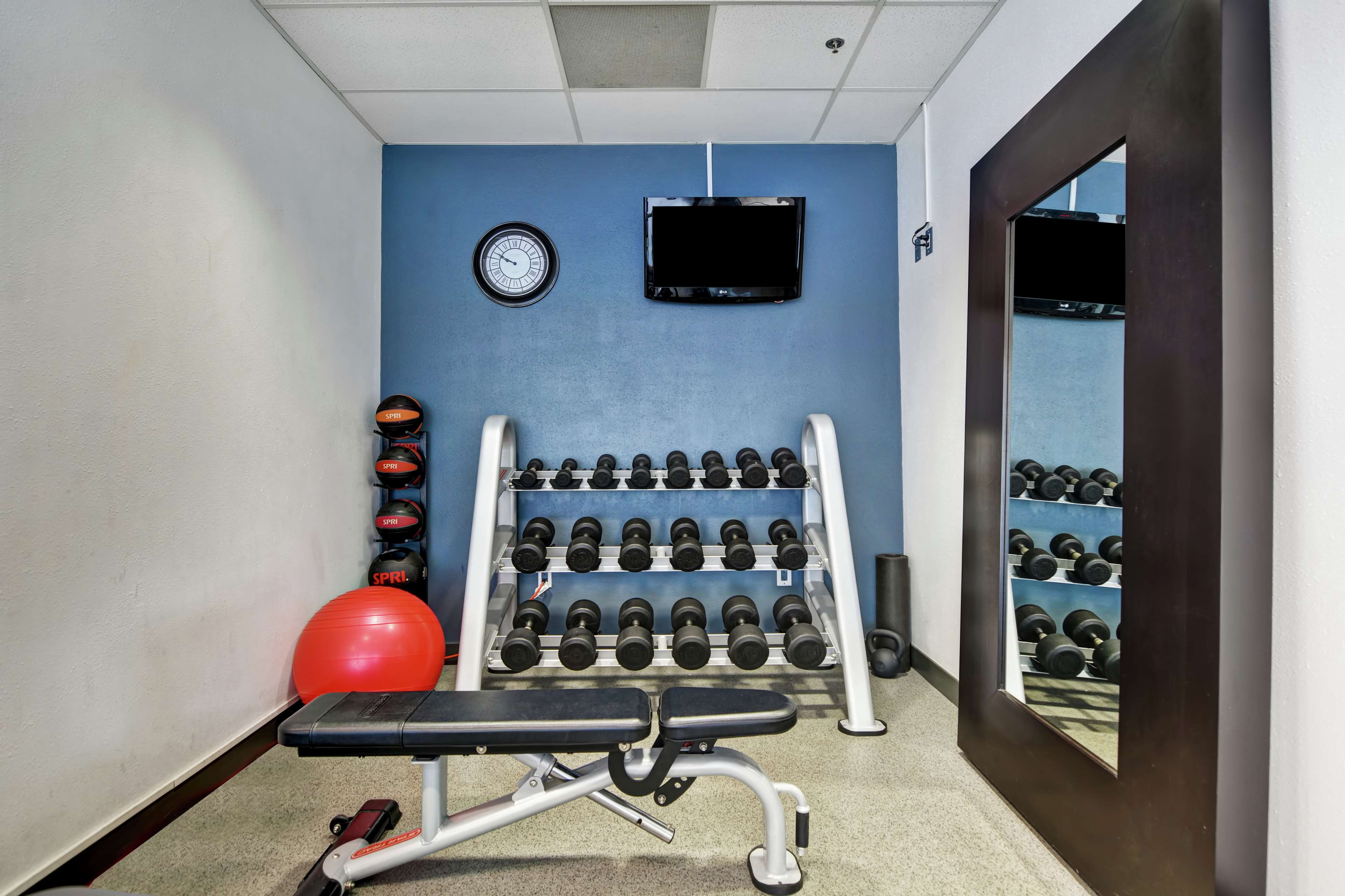 Health club  fitness center  gym