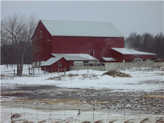 Kienapple Barn Painting