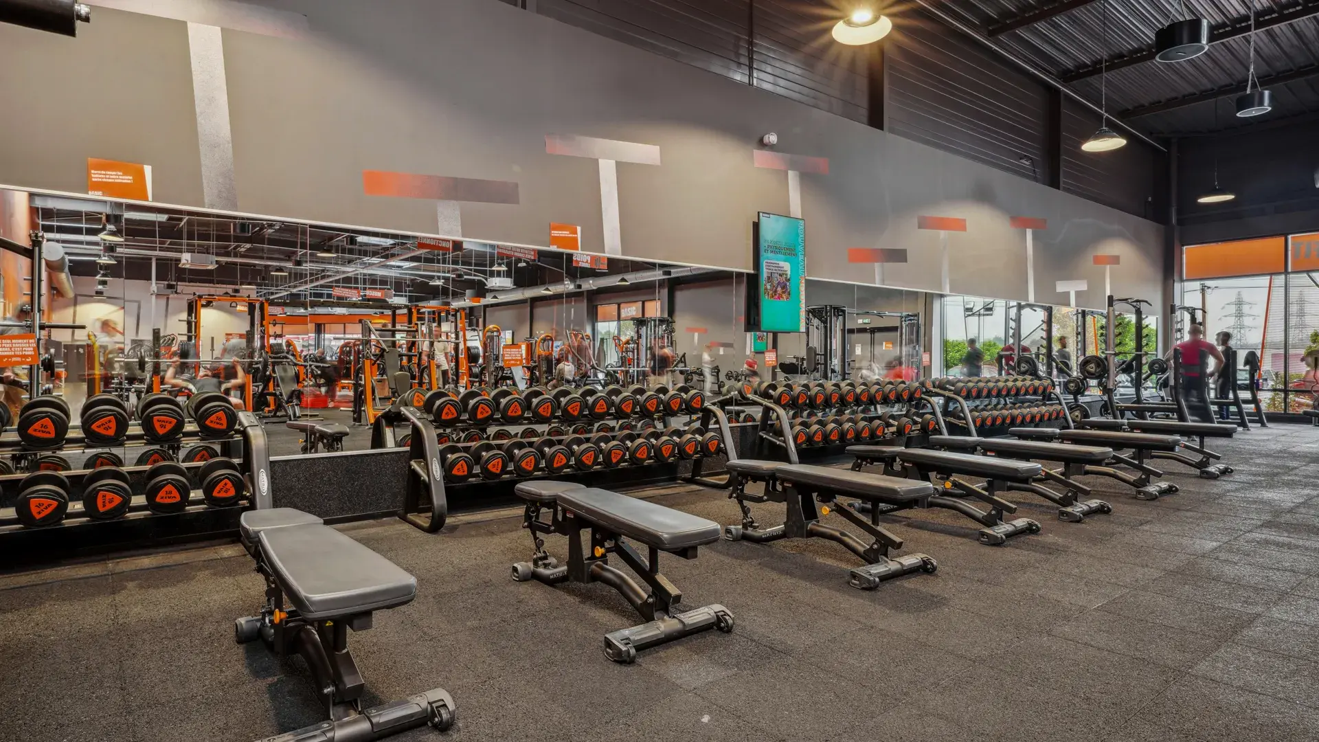 Miniature de la galerie