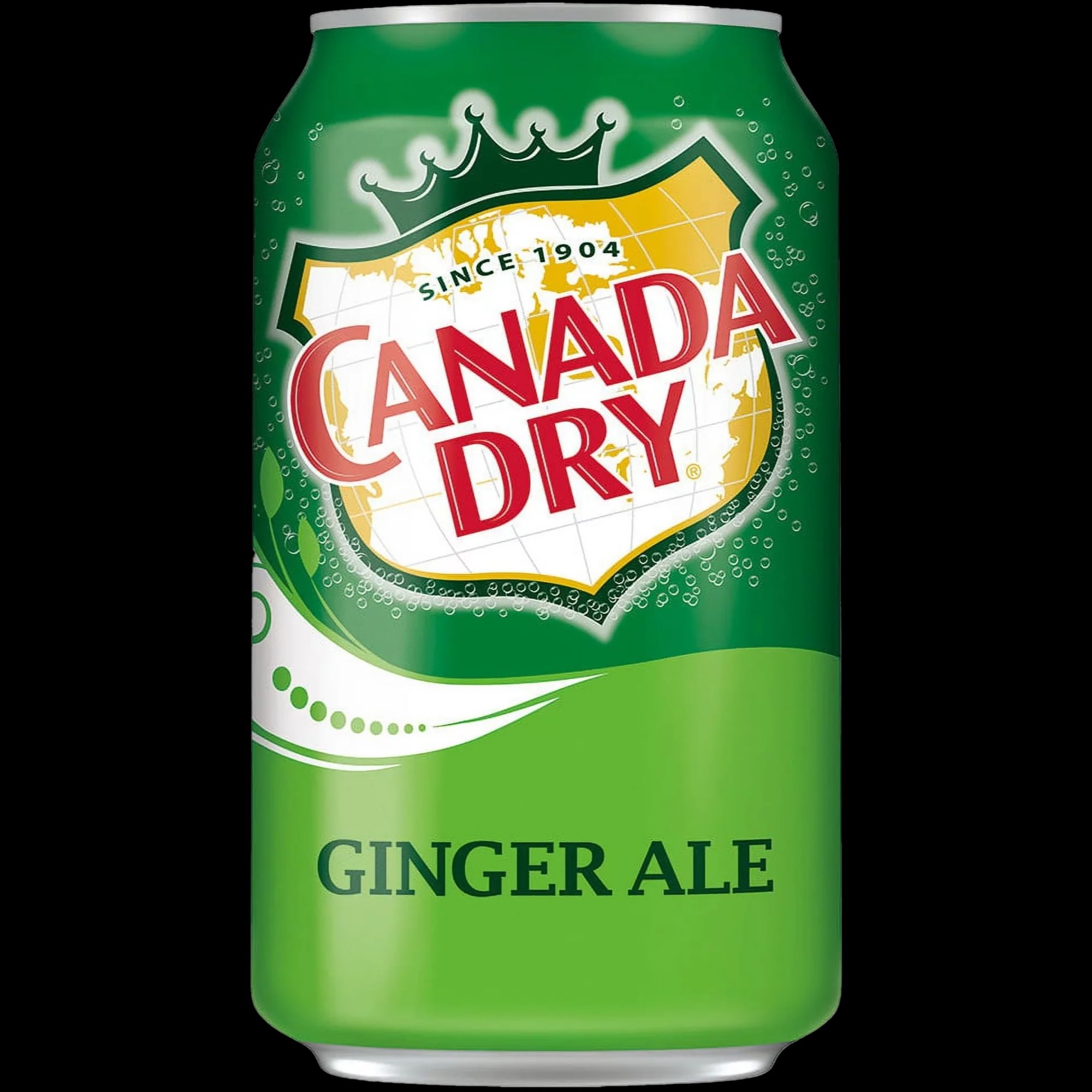 Ginger Ale Can 12 oz