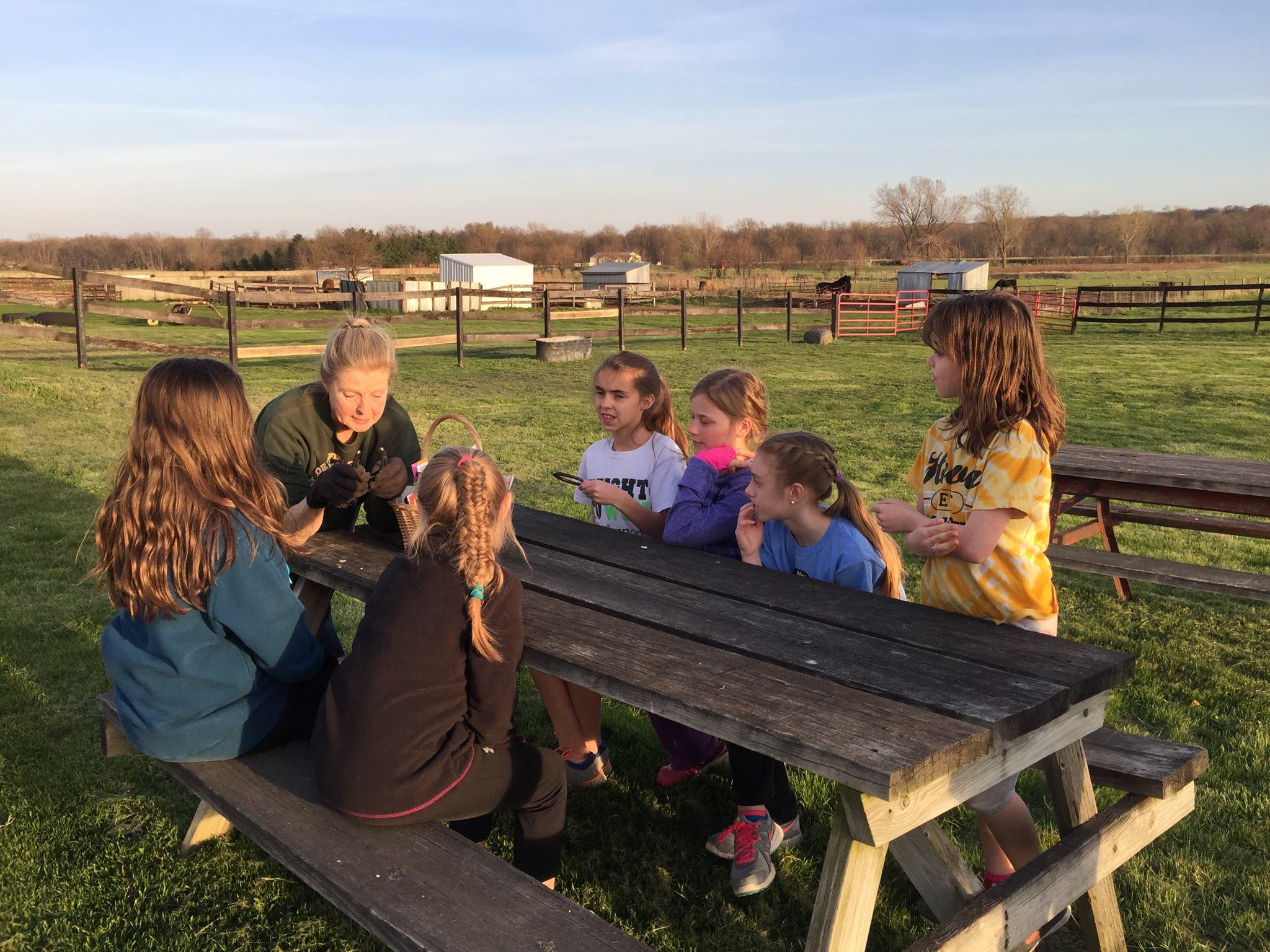 Wright-Way Equestrian Center Inc. Photo