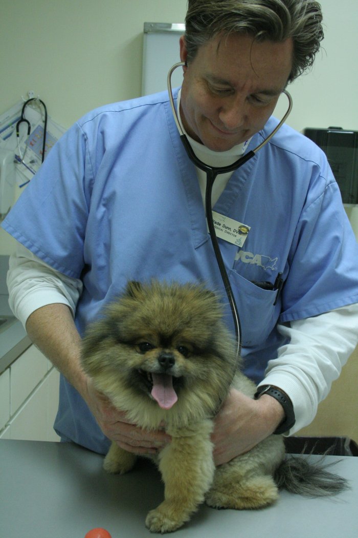 VCA Lakewood Animal Hospital Photo