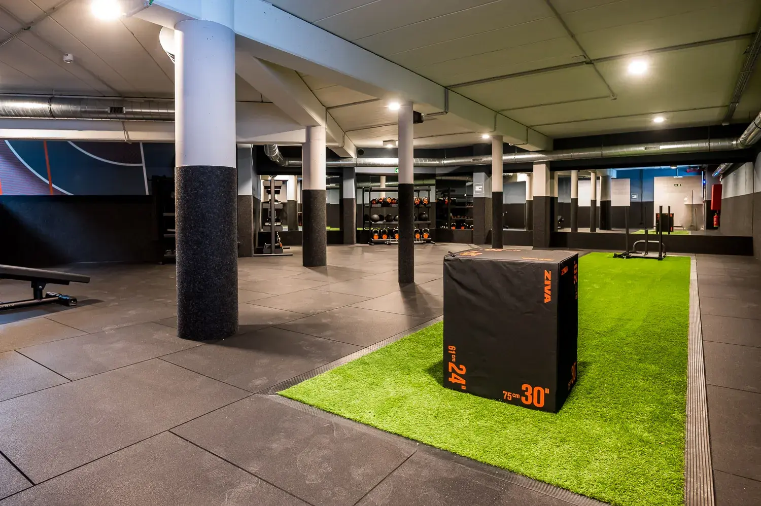 Miniature de la galerie