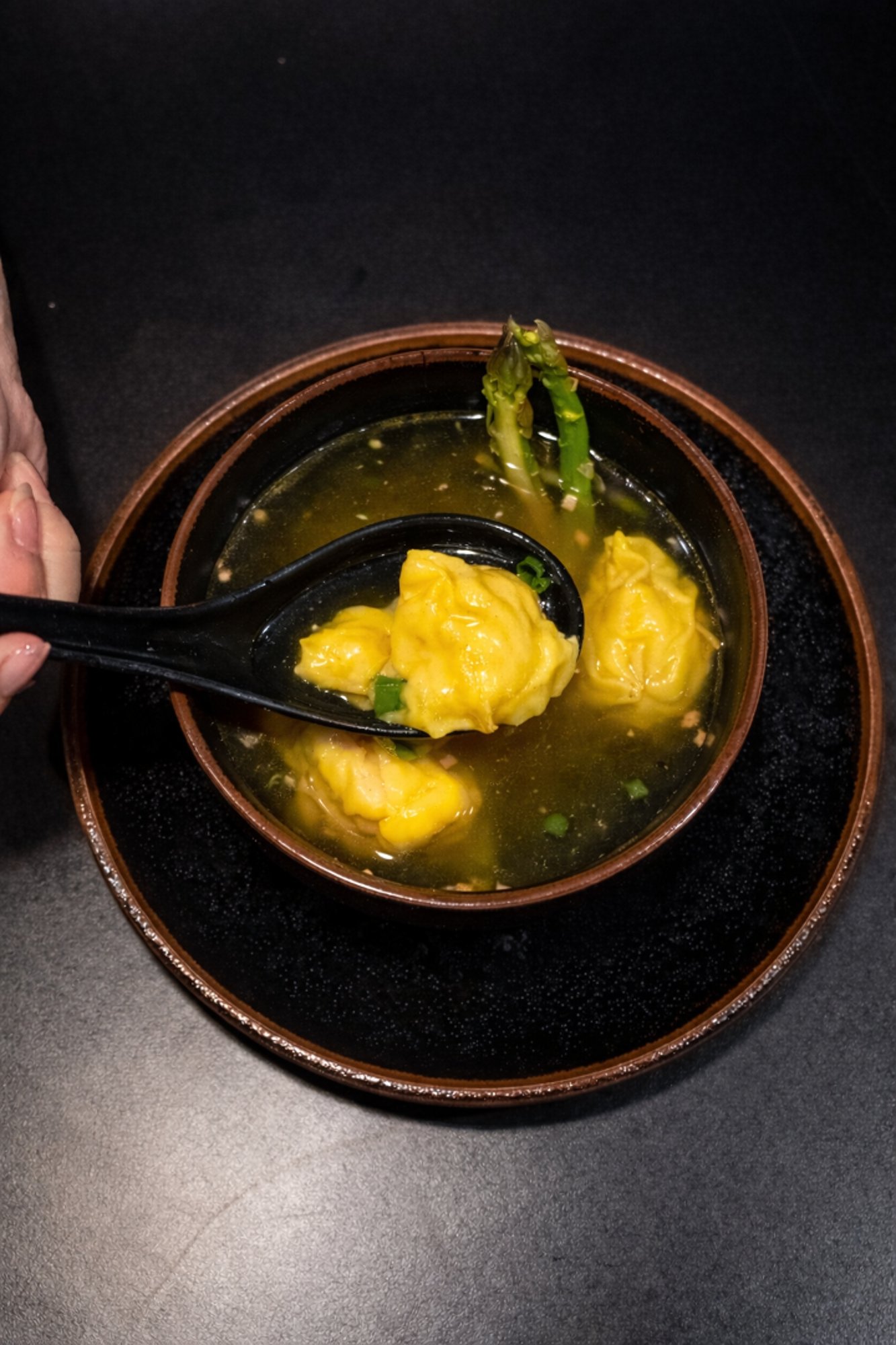 Wonton Soup