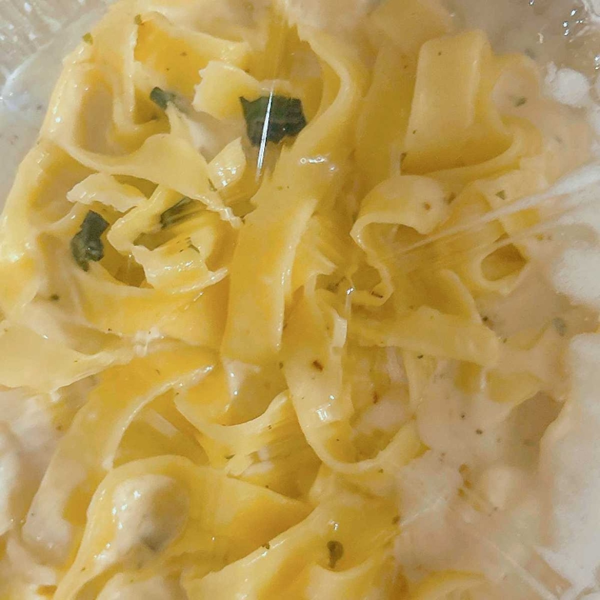 Kids-Fettucini Alfredo