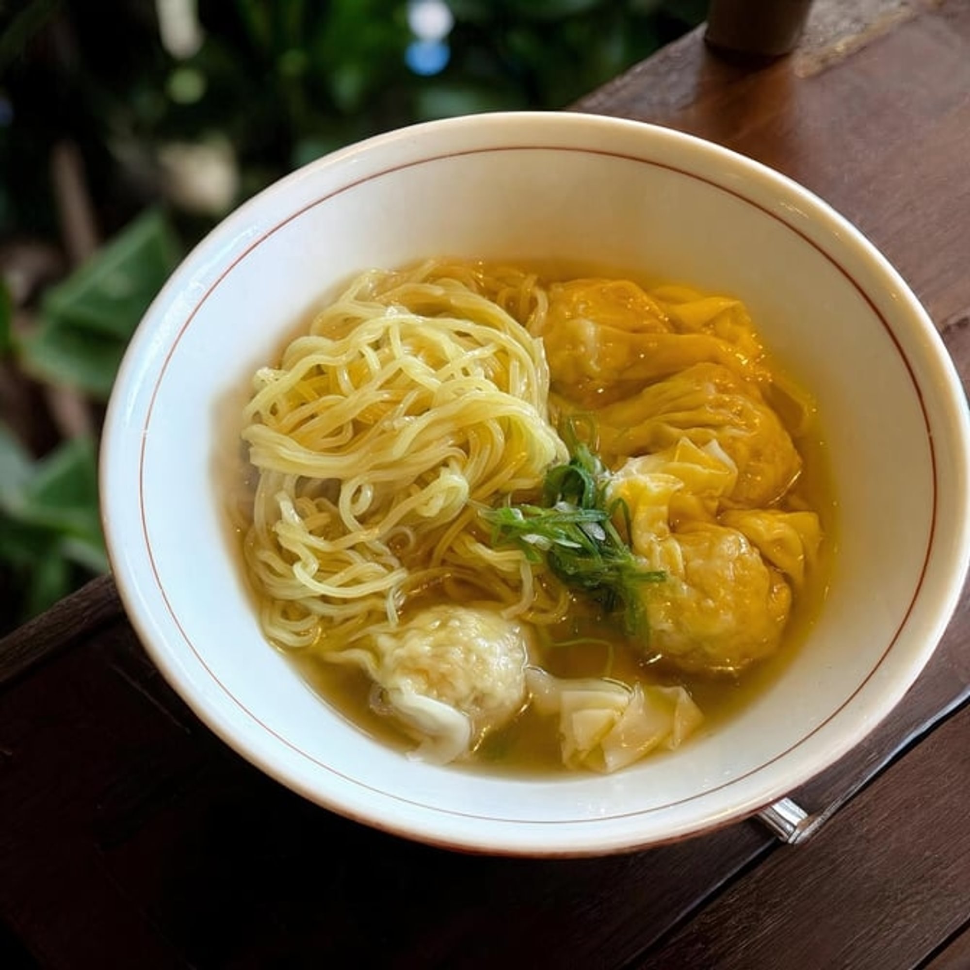 Shrimp and Pork Wonton Noodle Soup