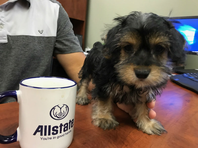 Images Casey Dehmer: Allstate Insurance