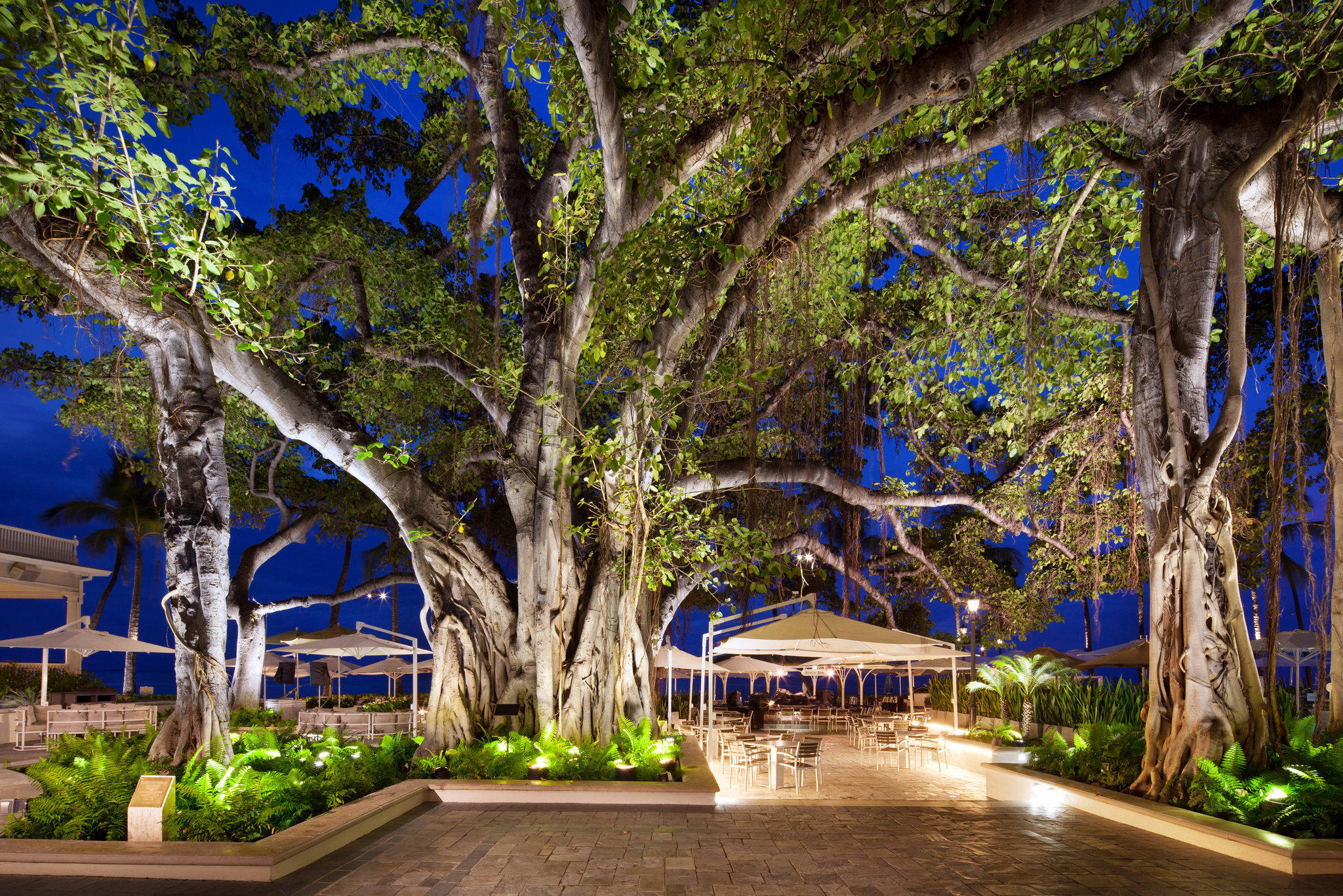 Moana Surfrider, A Westin Resort & Spa, Waikiki Beach Photo