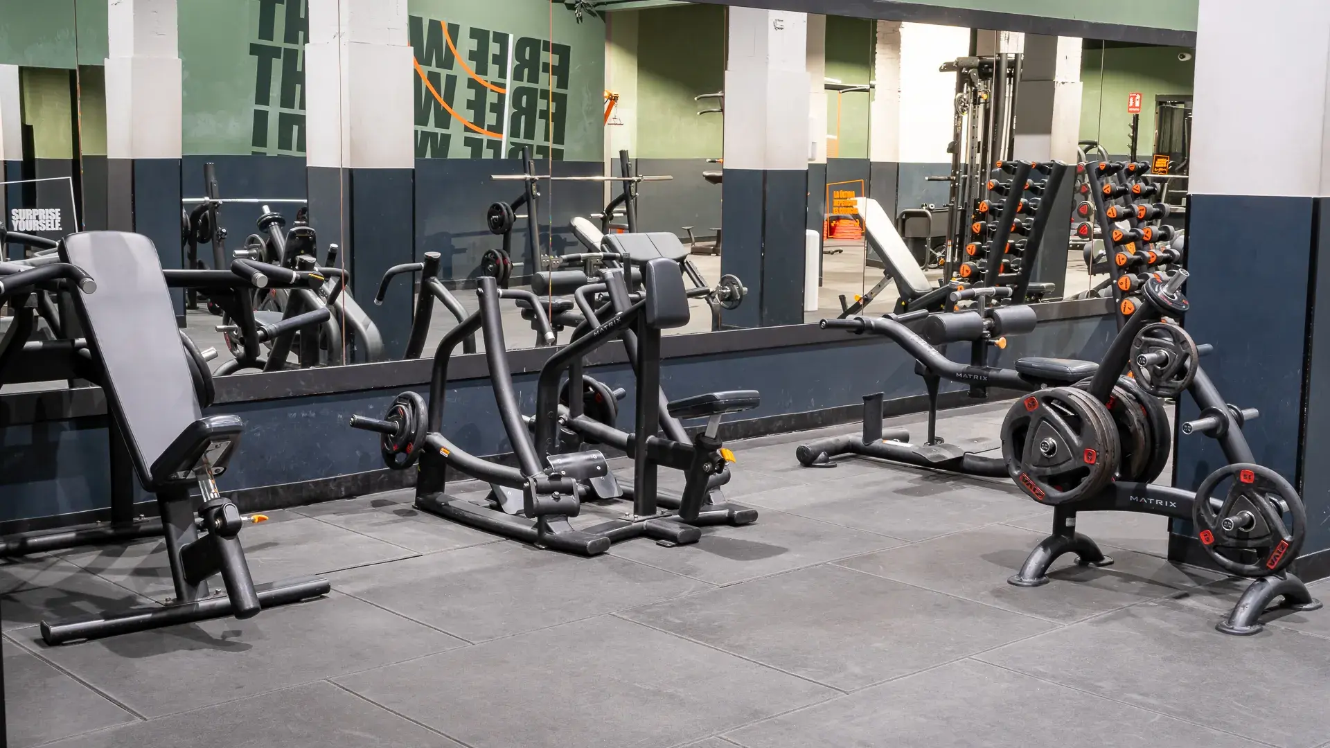 Galería de imágenes