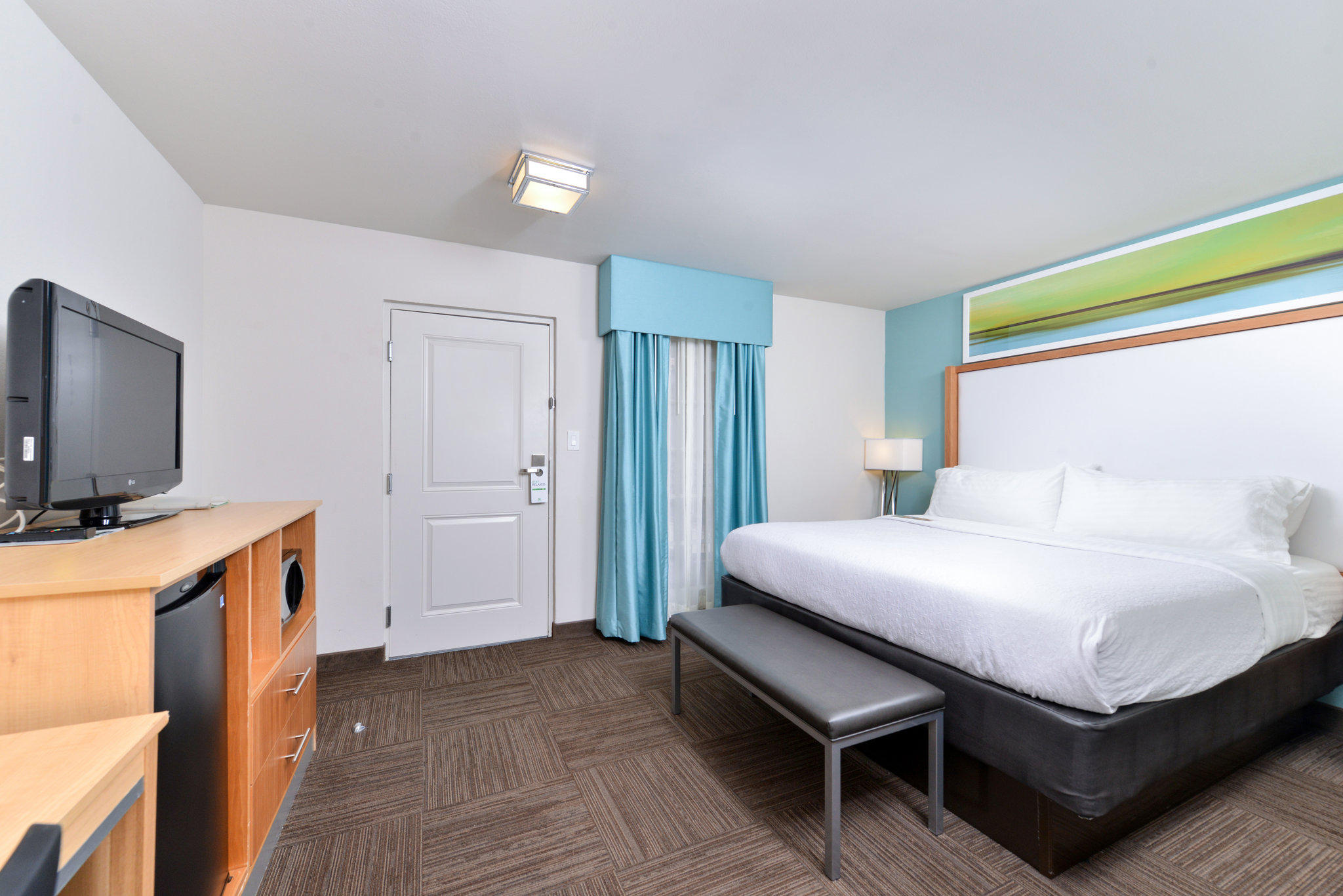 Holiday Inn & Suites Tampa N - Busch Gardens Area Photo