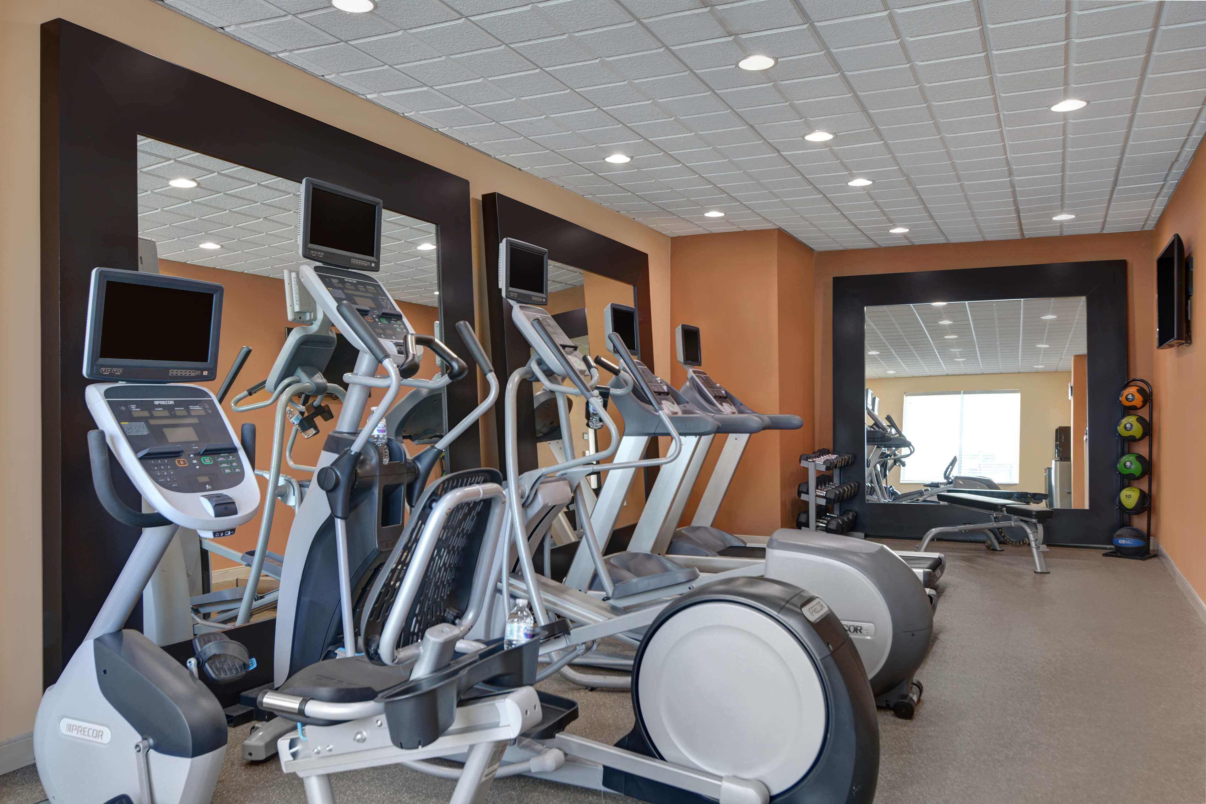 Health club  fitness center  gym