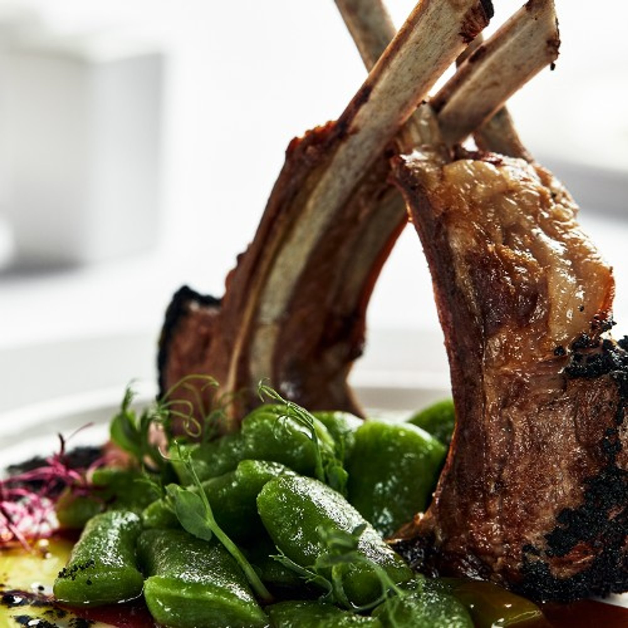 Jerk Lamb Chops