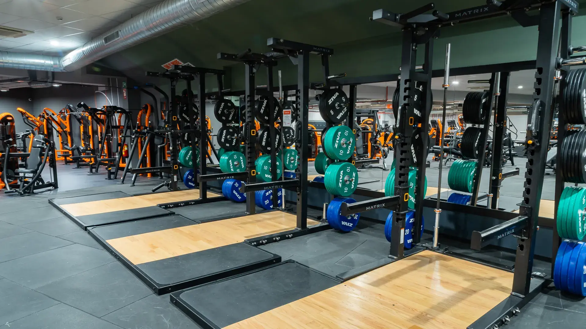 Galería en miniatura