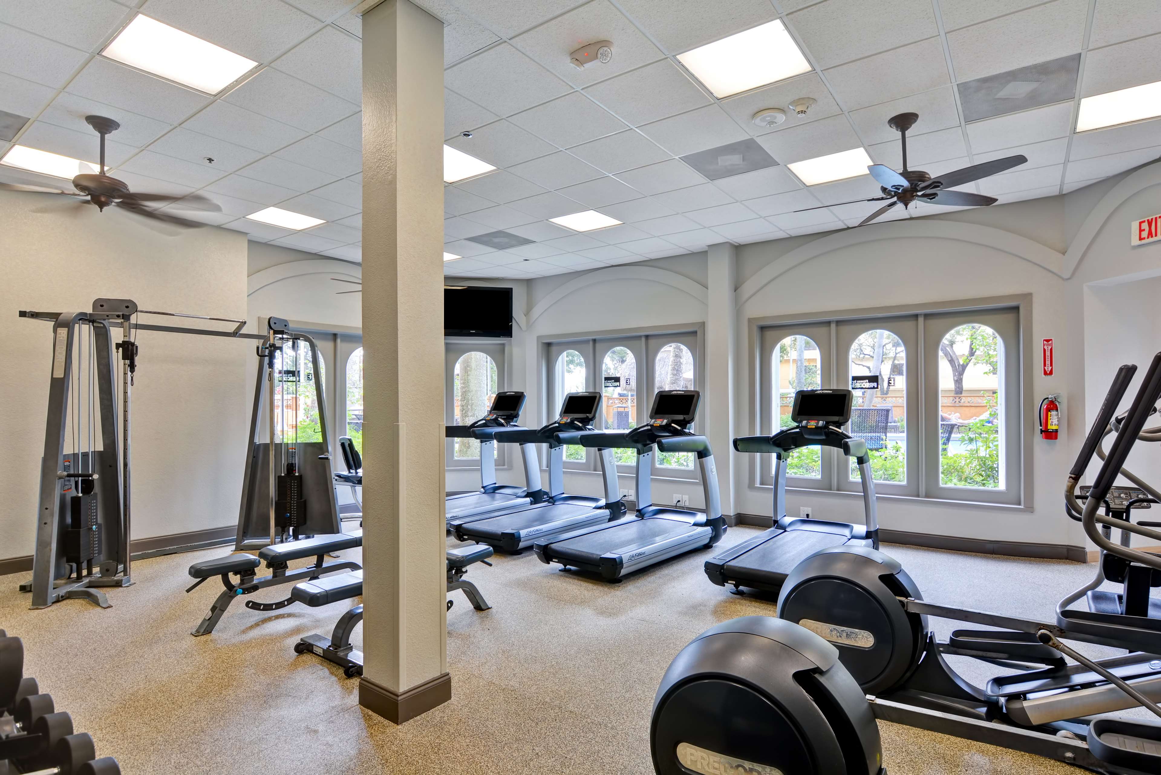 Health club  fitness center  gym