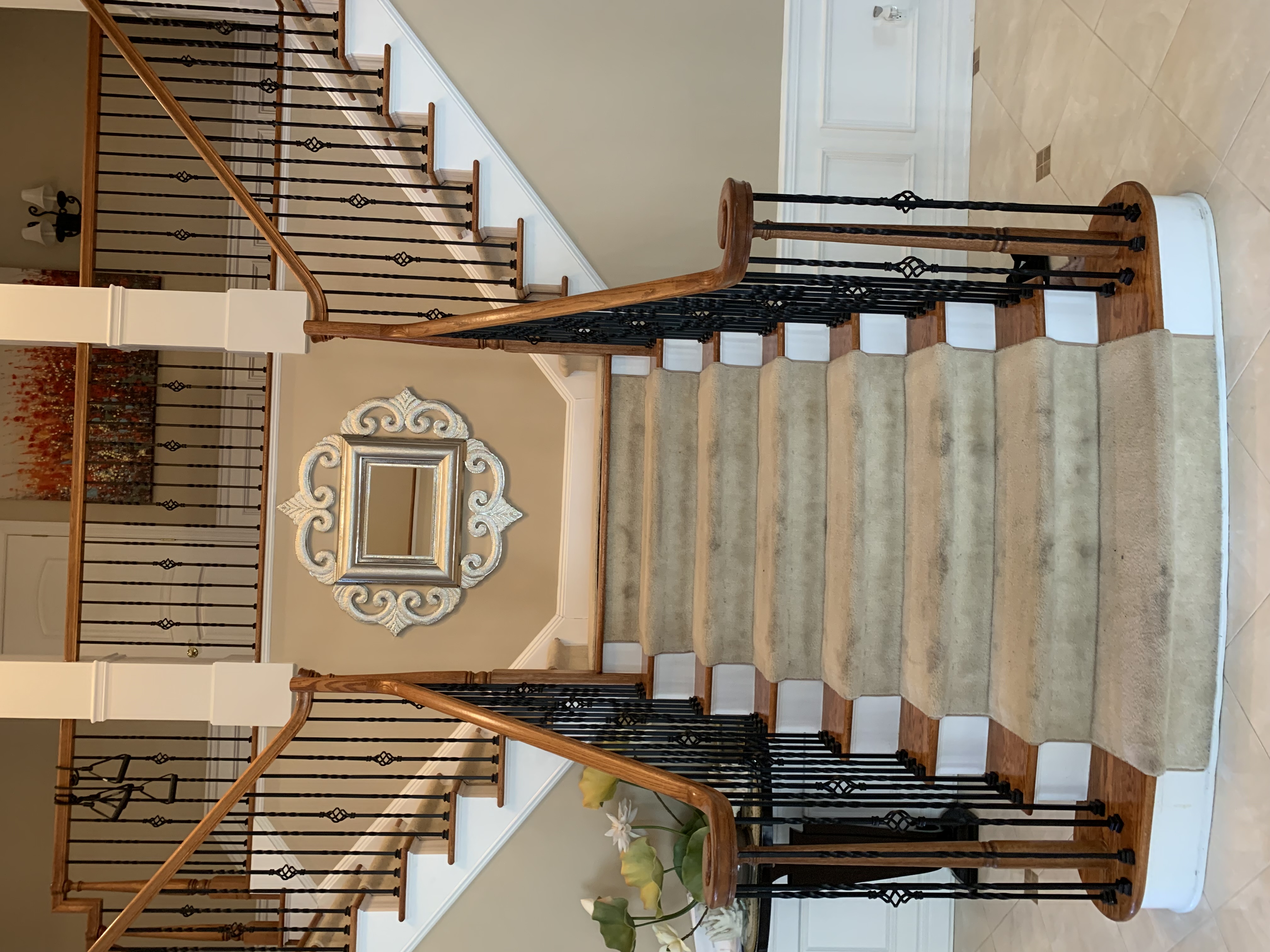 Elite Green Carpet Cleaning Image