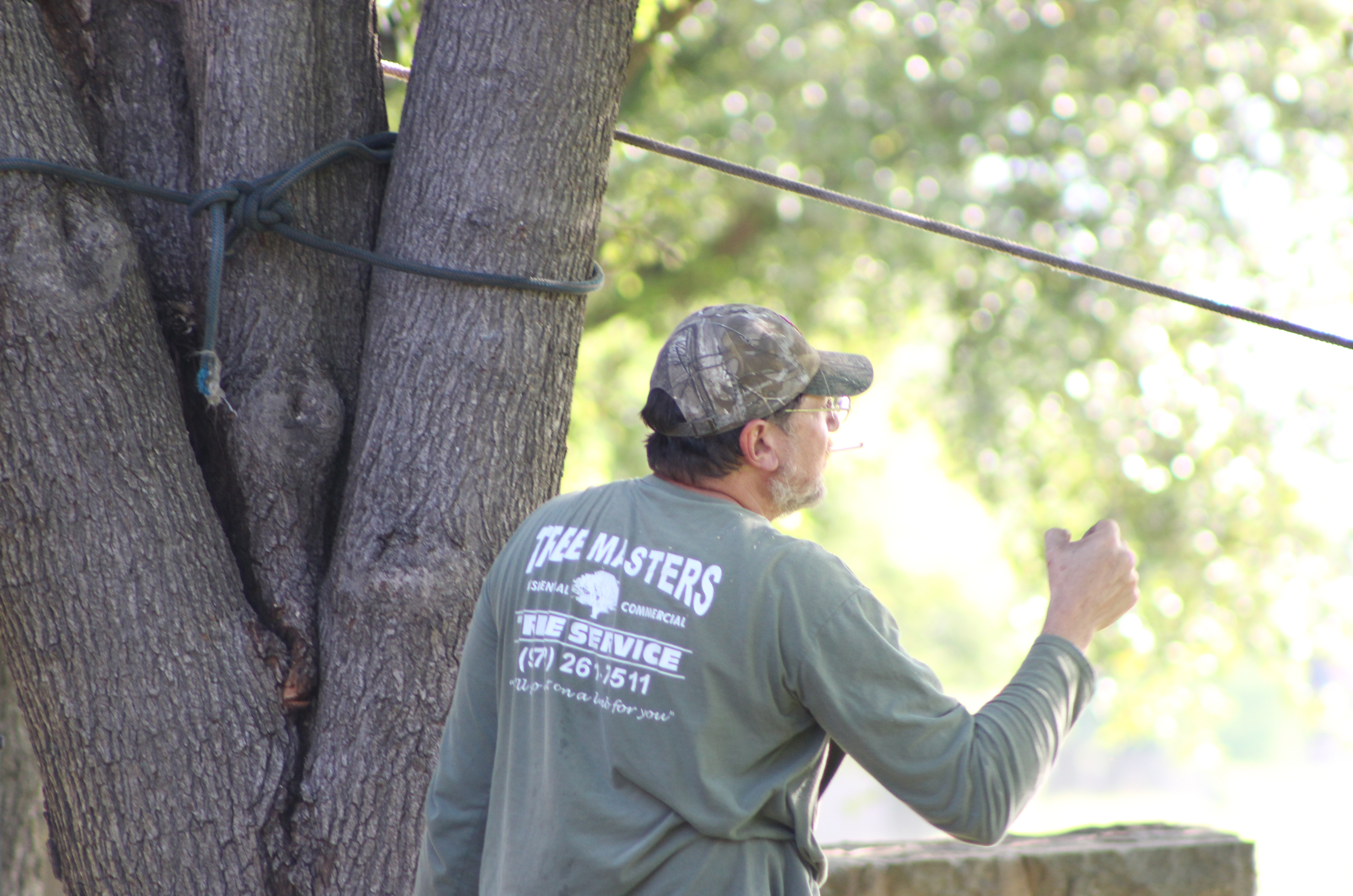 Tree Masters Tree Service Image