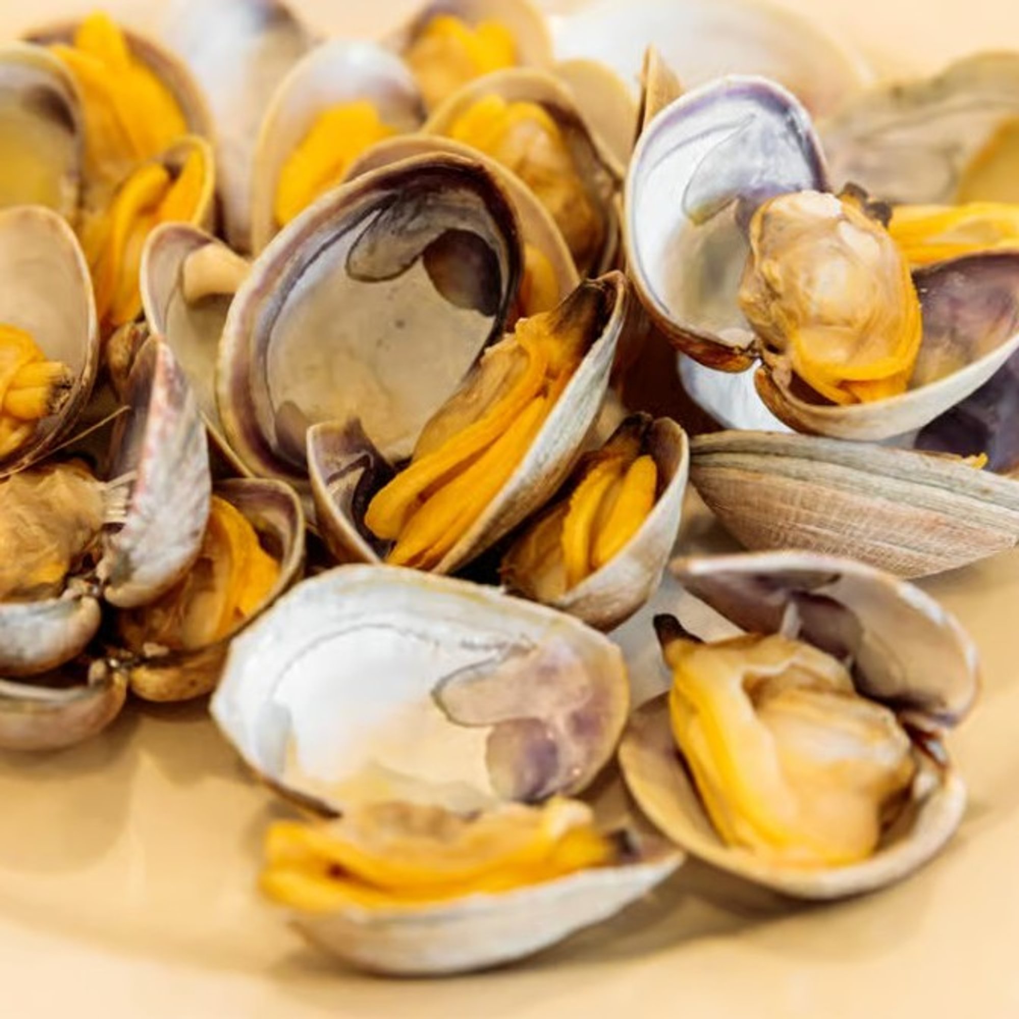 Baby Clams