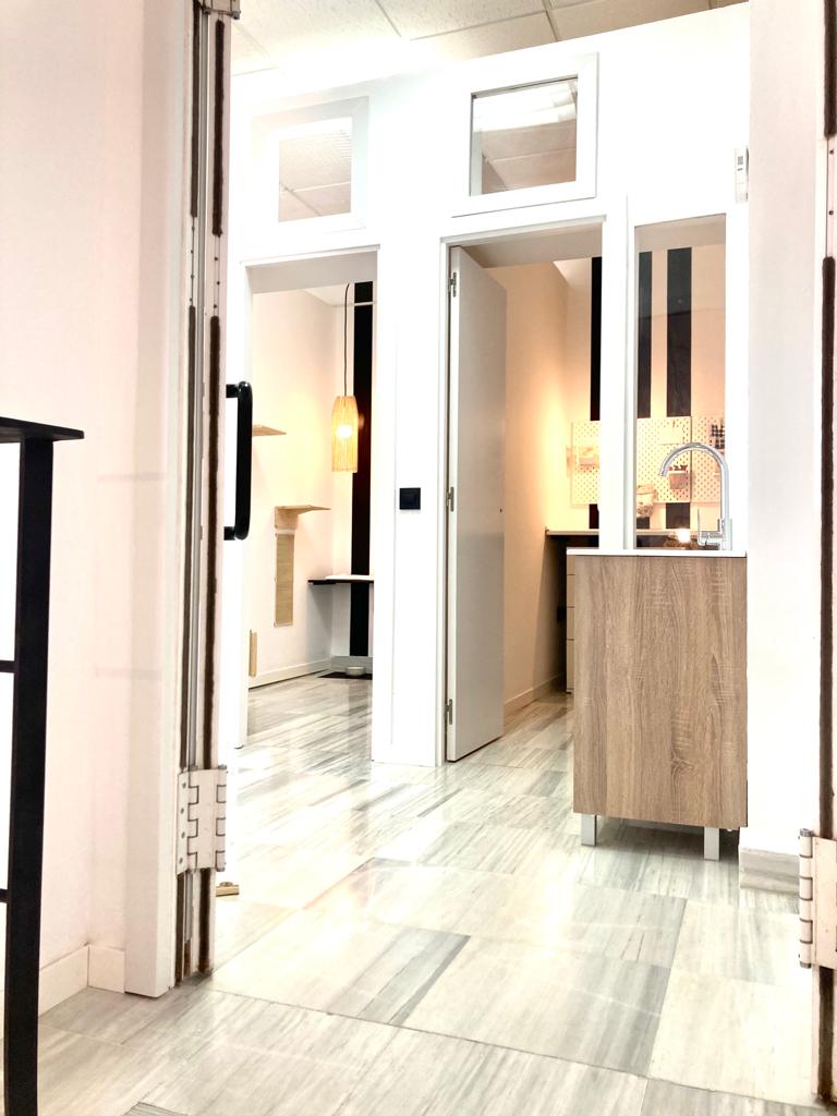 Galería en miniatura