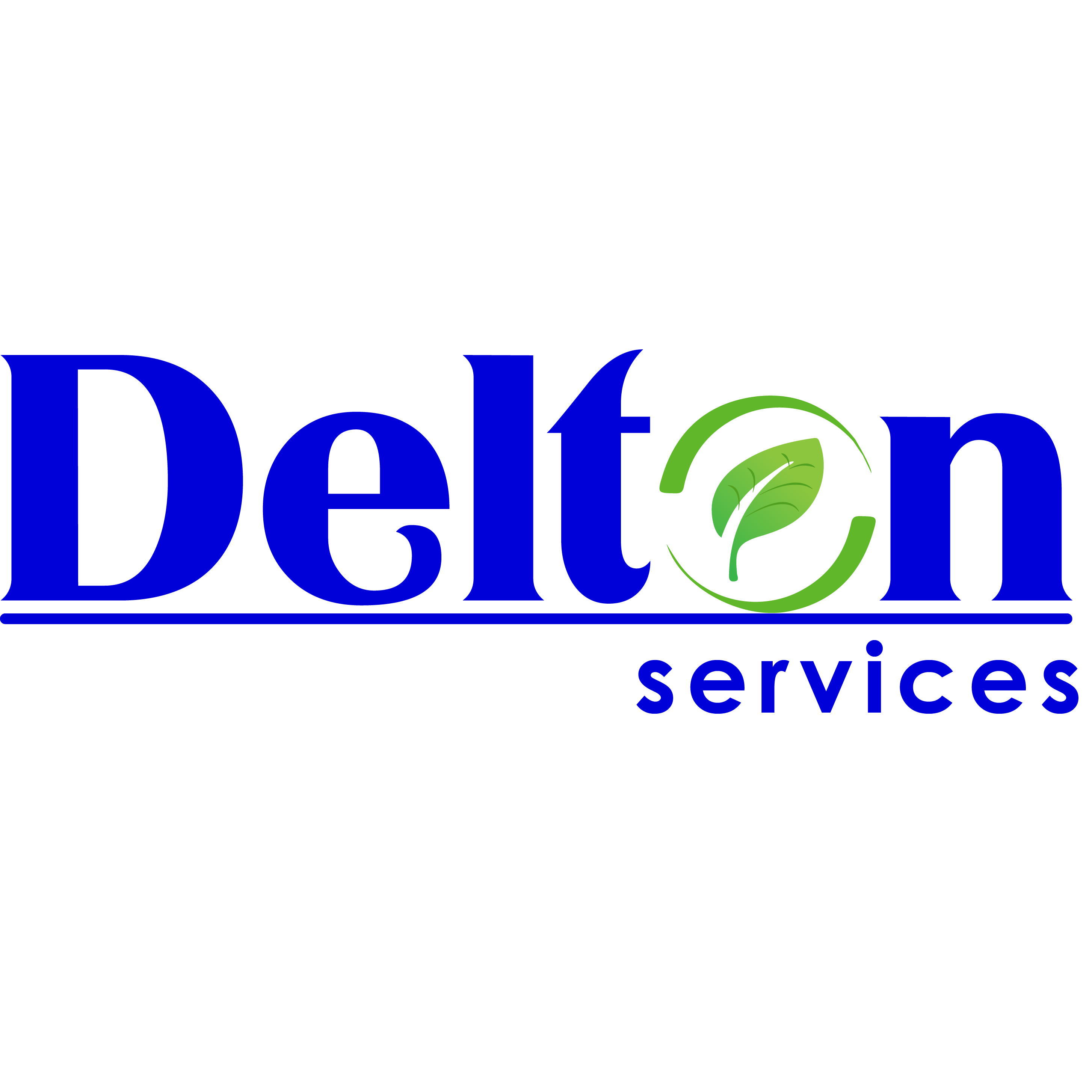 Delton Services LLC