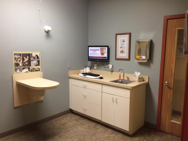 Images Cat Care PC of Rochester Hills