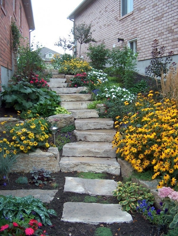 Images DMC Landscaping Ltd