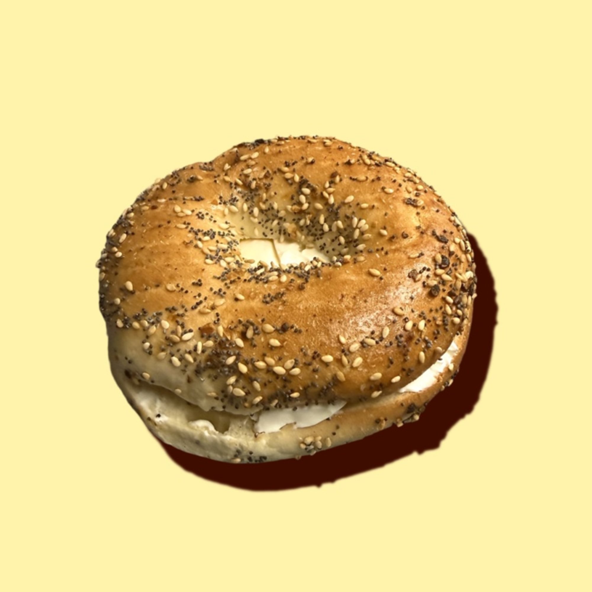 Everything Bagel with Turkey&cheese
