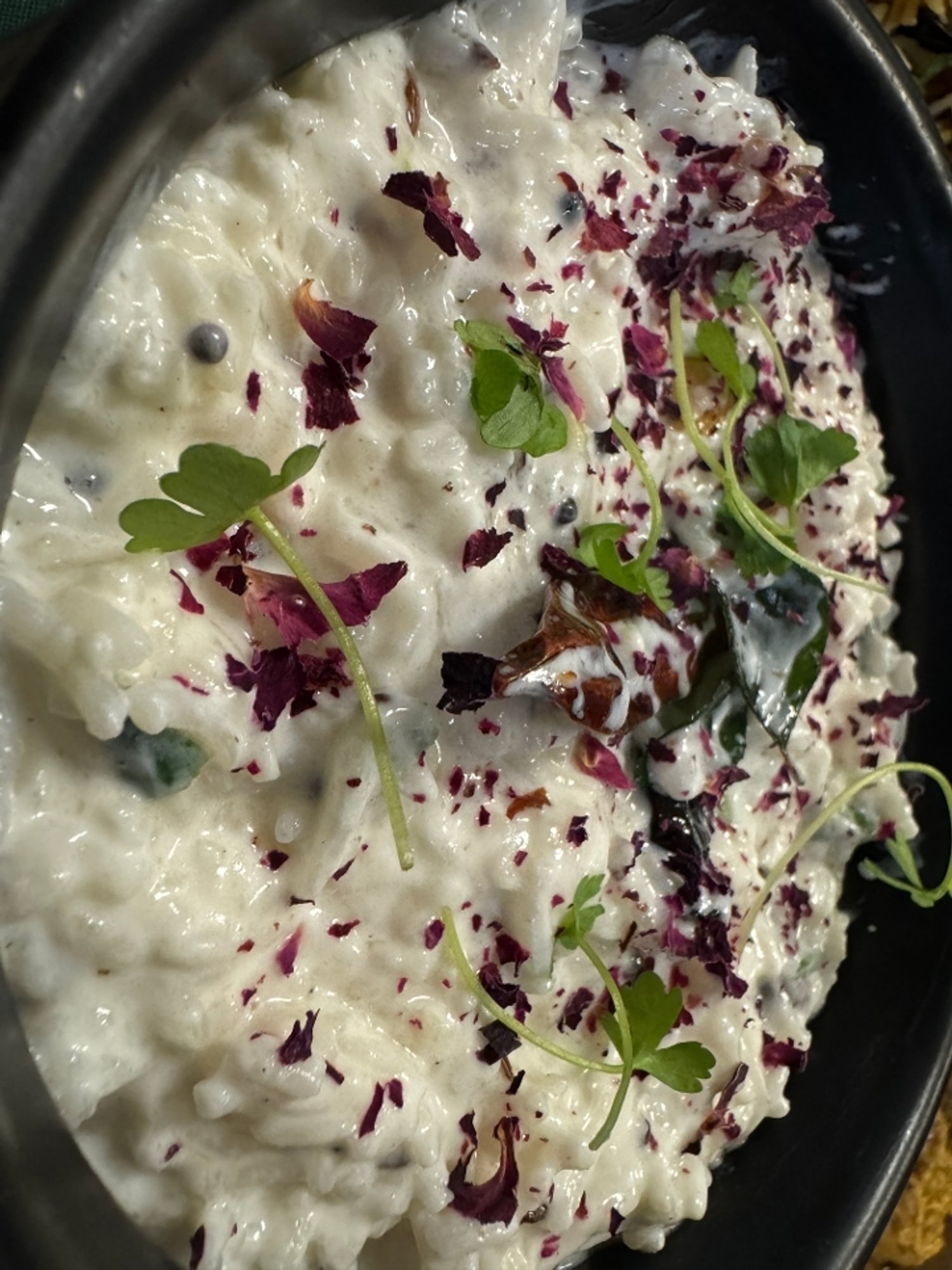 Curd Rice