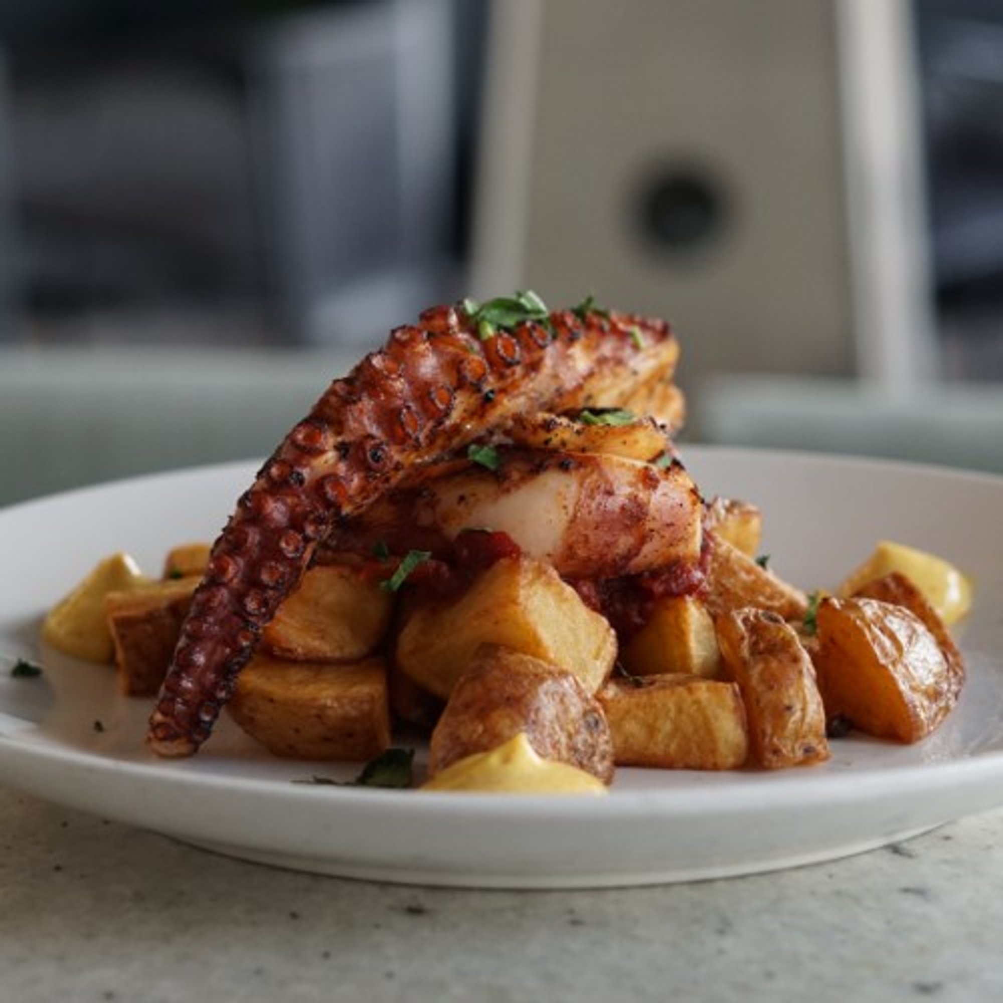 Grilled Octopus