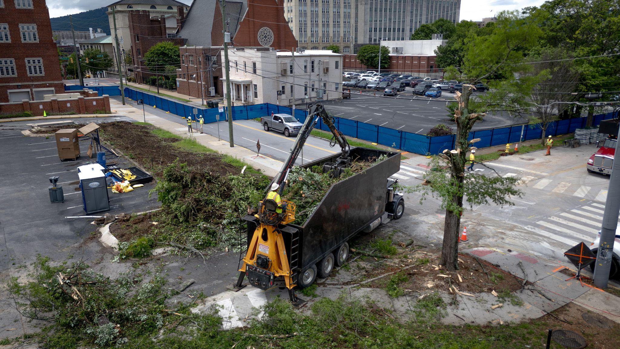 Big Woody's Tree Service Image