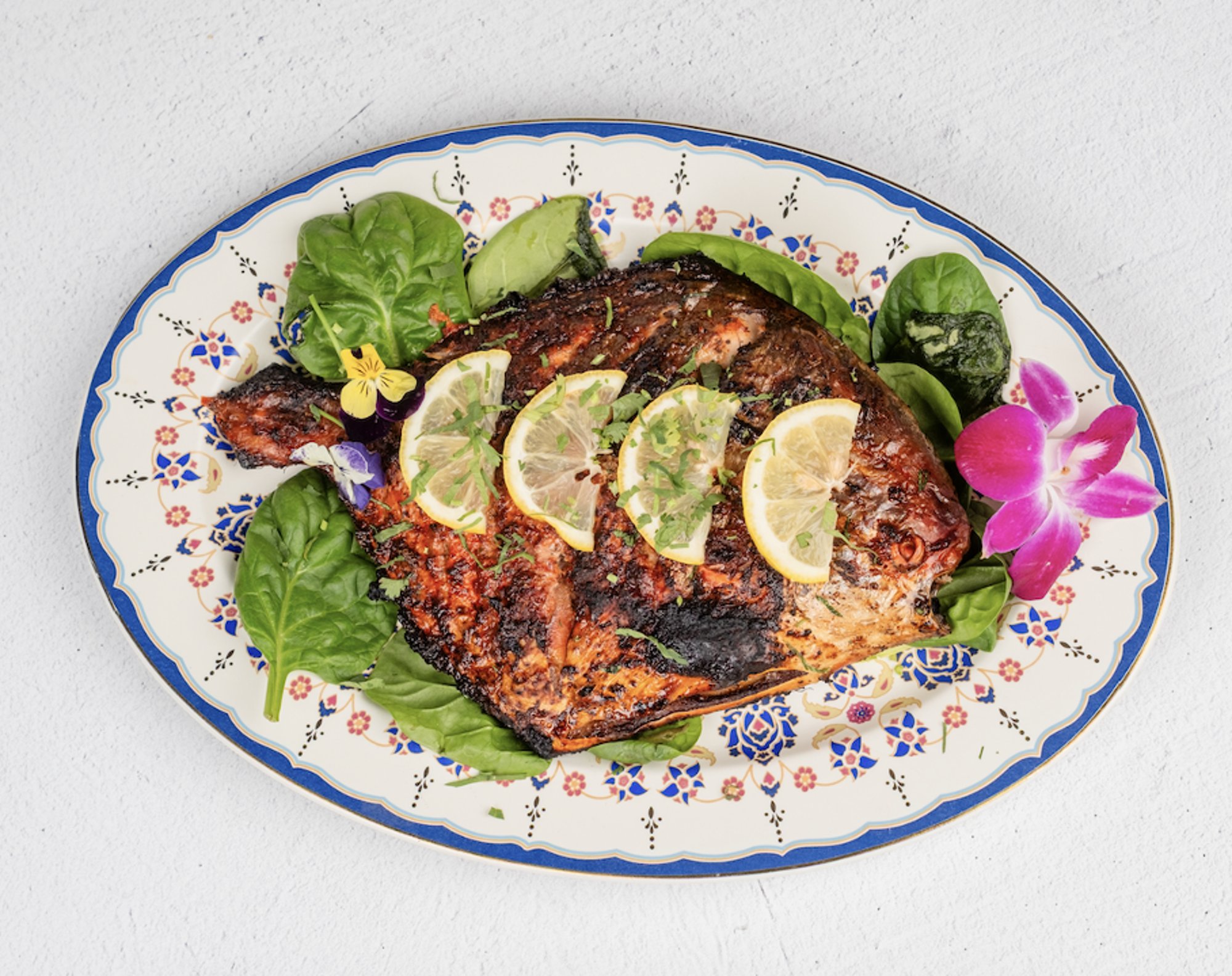 Hirwa Vatan Pomfret