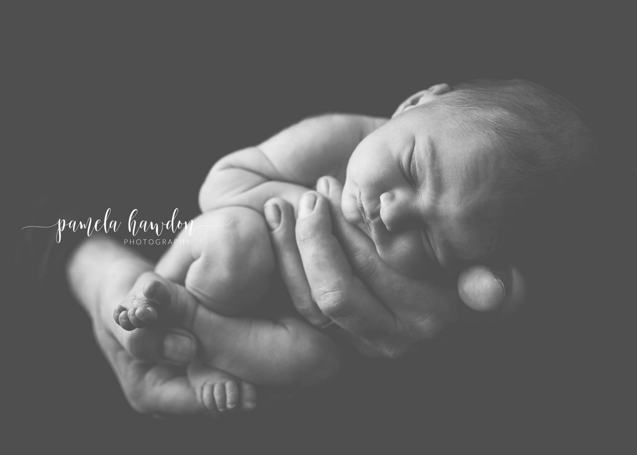 Images Pamela Hawdon Photography