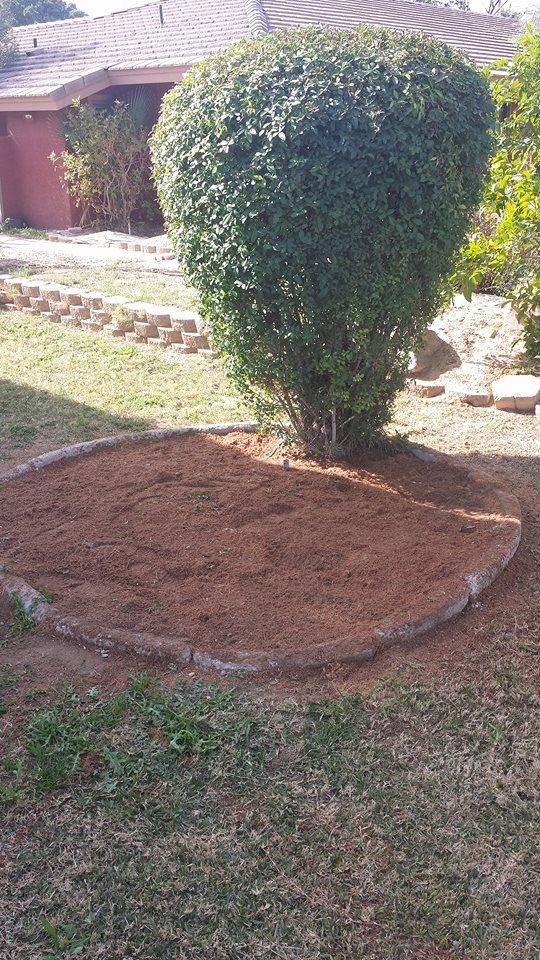 Pendleton Tree Service Yuma, AZ Business Profile