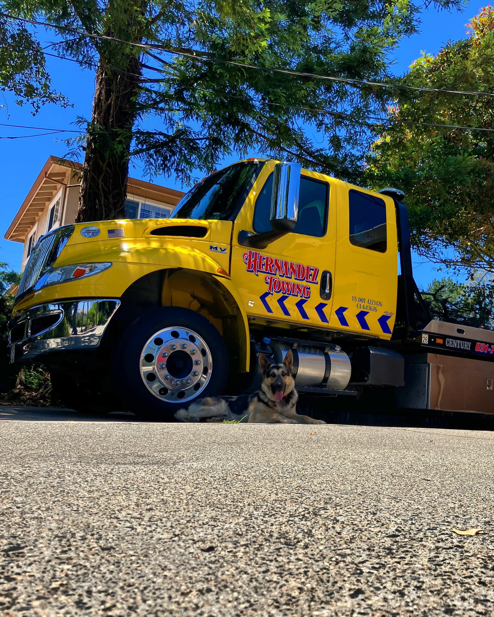 Hernandez Towing Service LLC Image