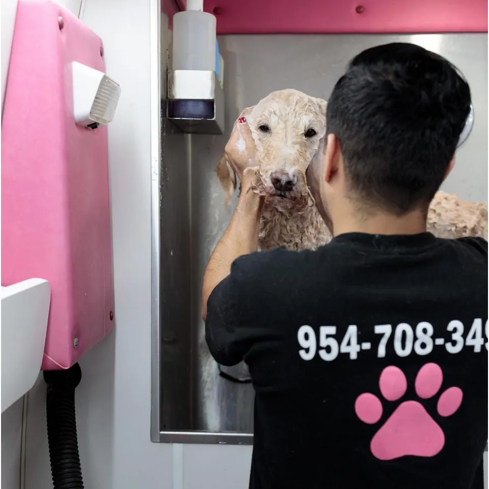 Coco’s Mobile Pet Grooming