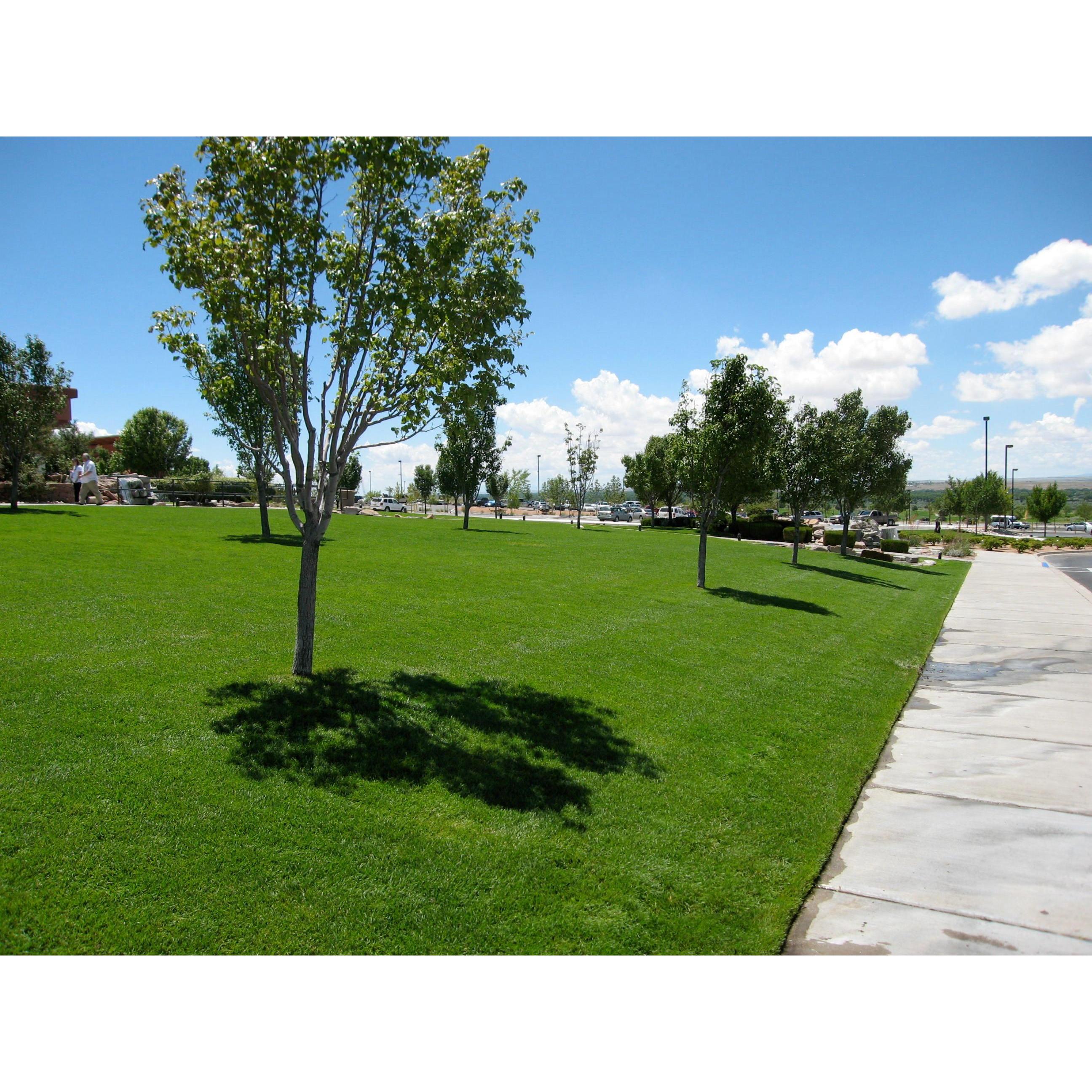 Oasis Turf Pros Logo