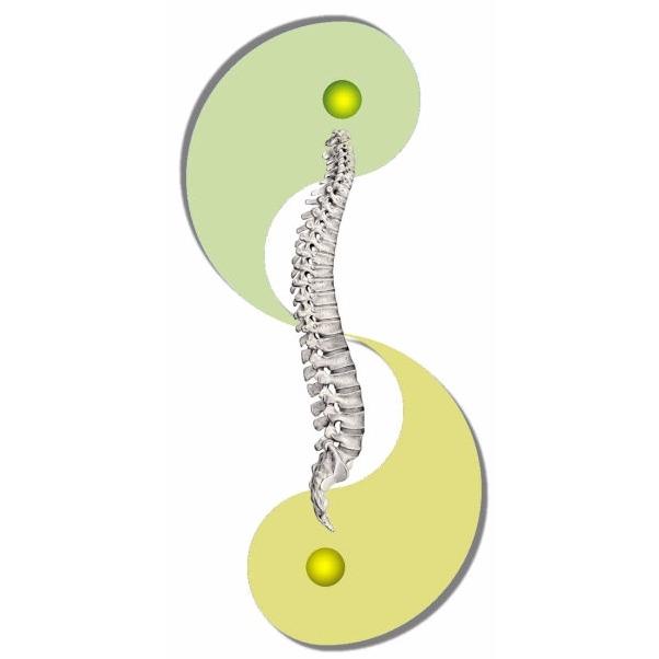 Charles Oliveri, DC - Spinal Health &amp; Wellness Center Logo