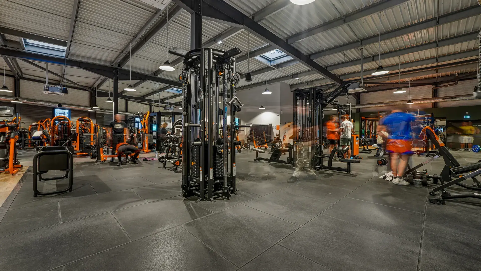 Miniature de la galerie